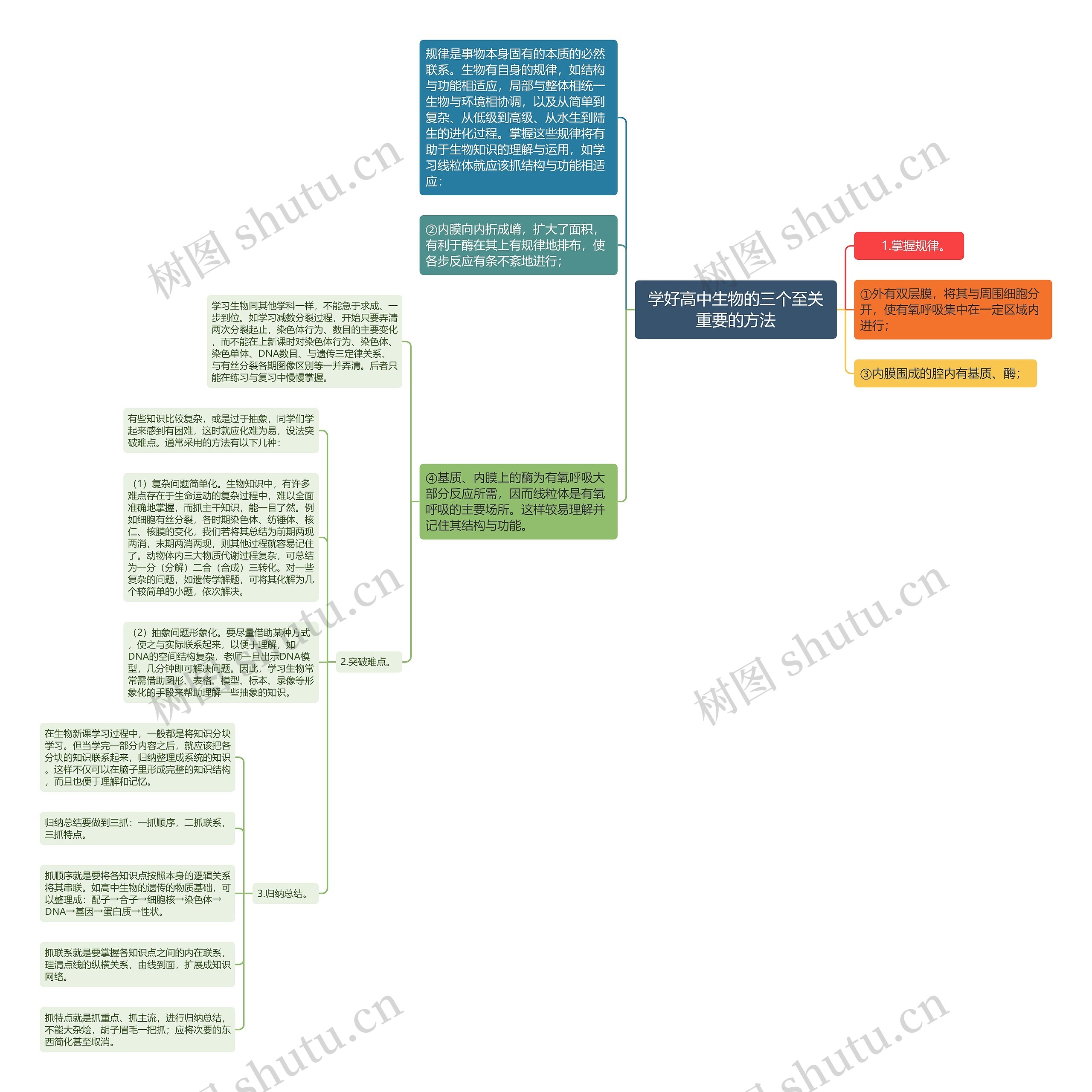学好高中生物的三个至关重要的方法