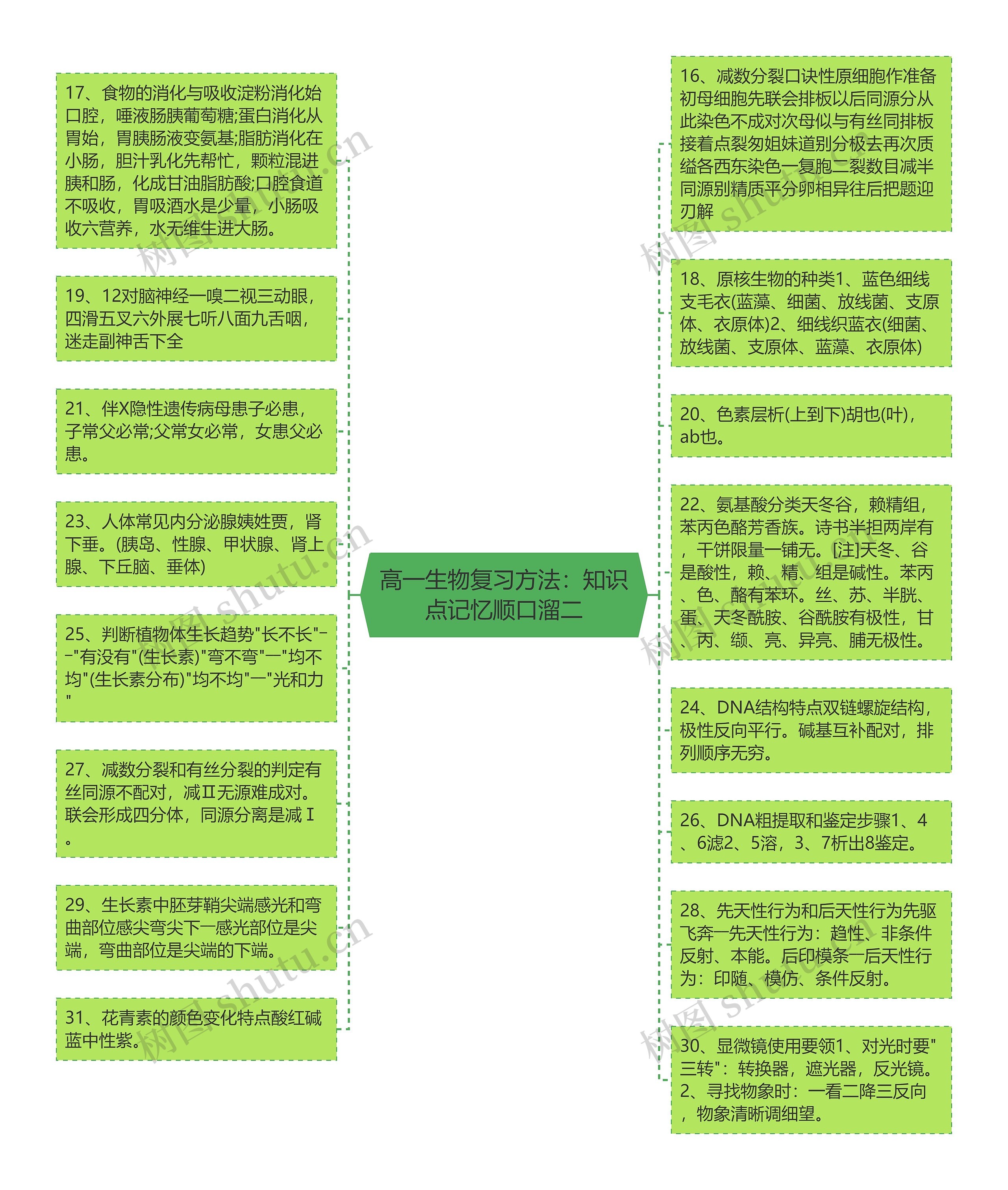 高一生物复习方法：知识点记忆顺口溜二思维导图