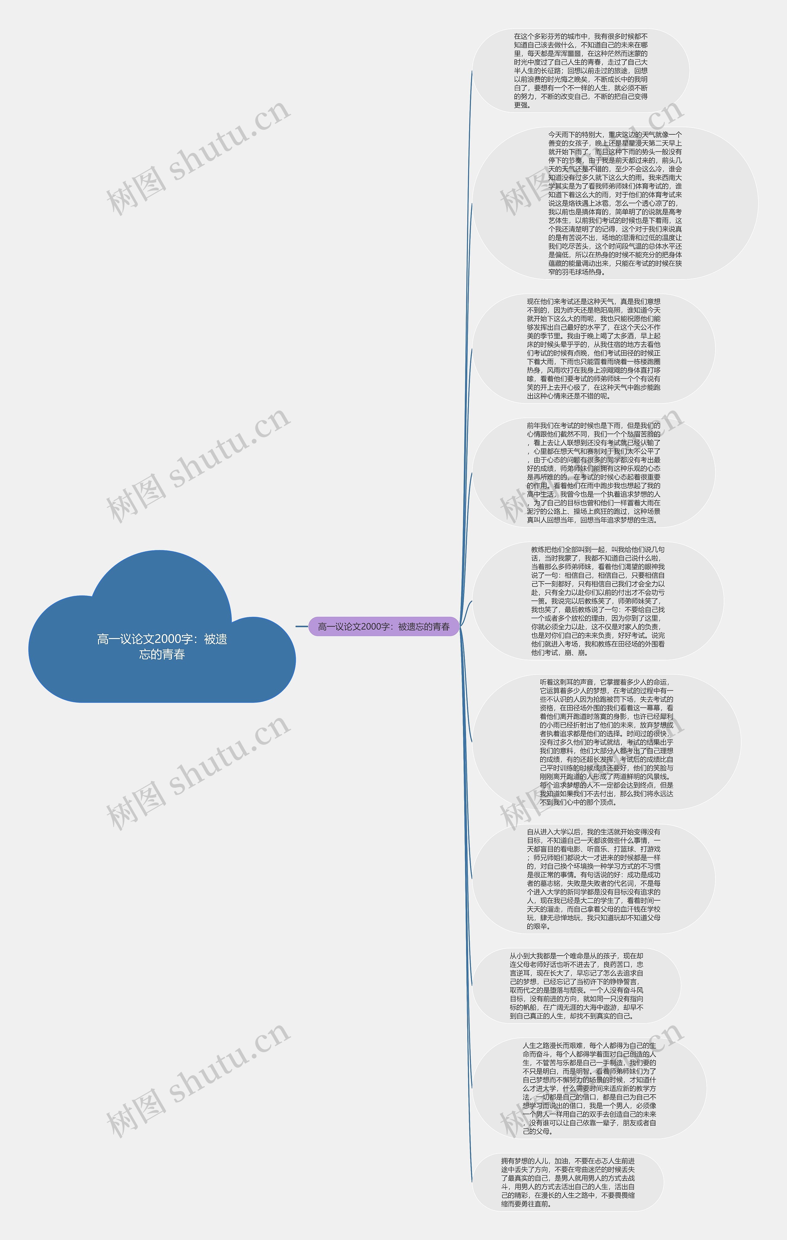 高一议论文2000字：被遗忘的青春思维导图
