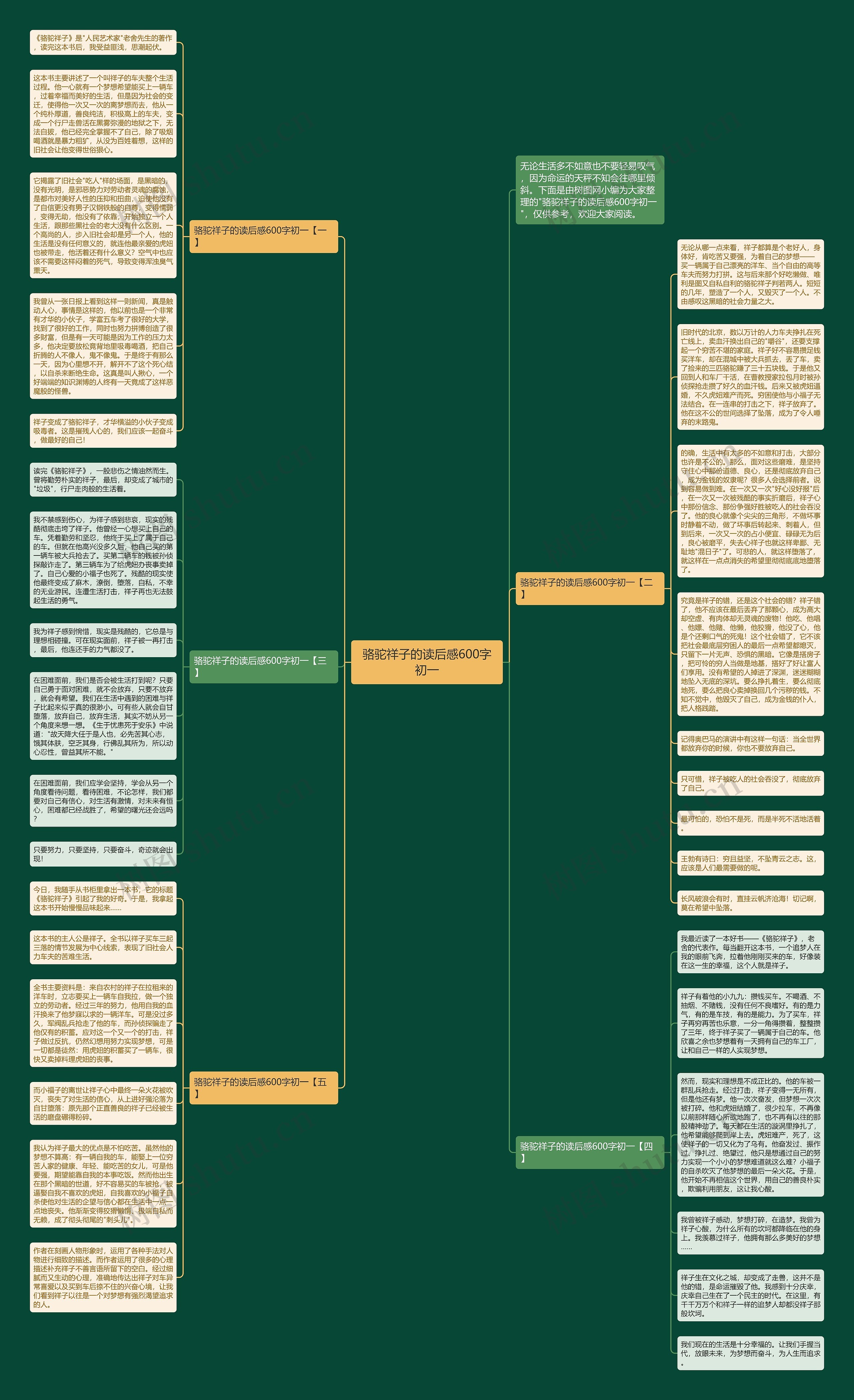 骆驼祥子的读后感600字初一思维导图