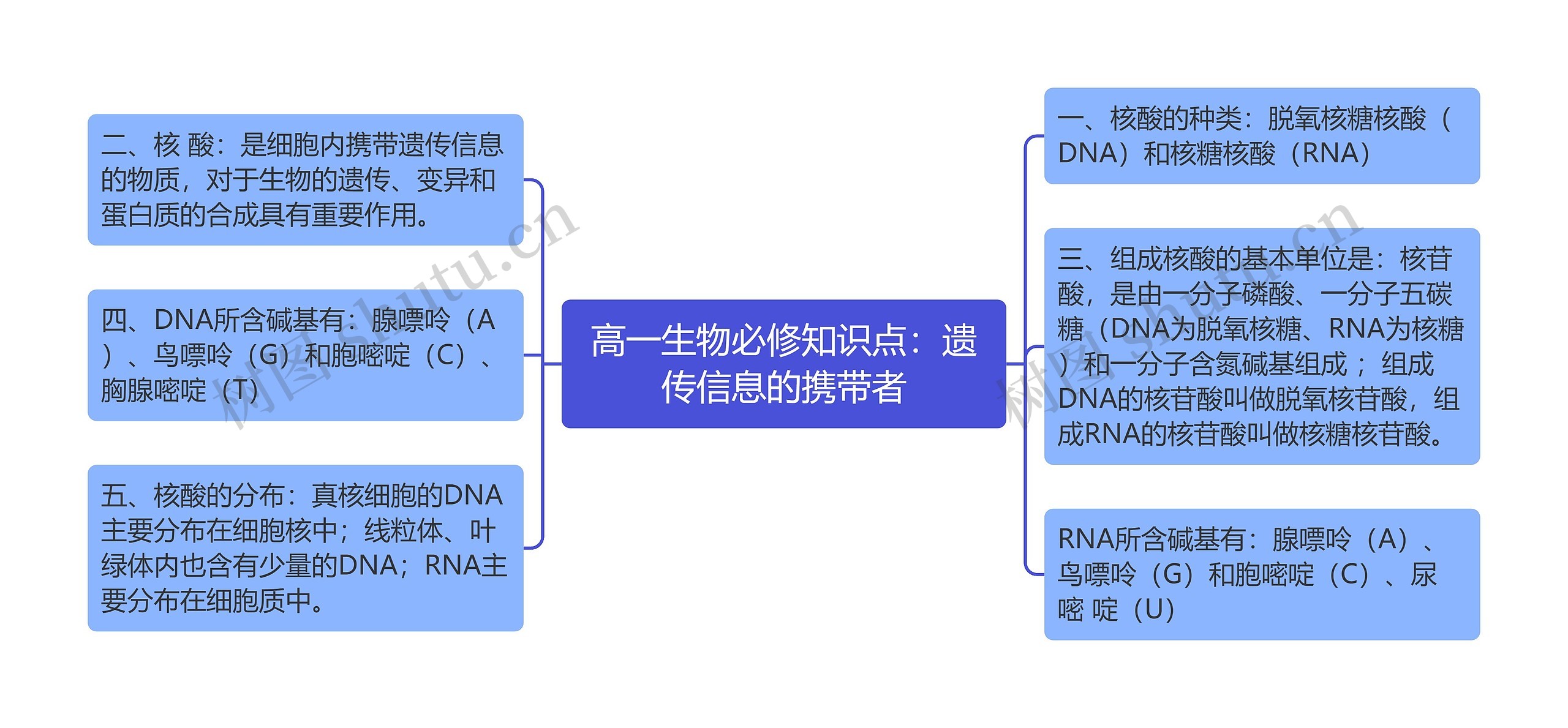 高一生物必修知识点：遗传信息的携带者