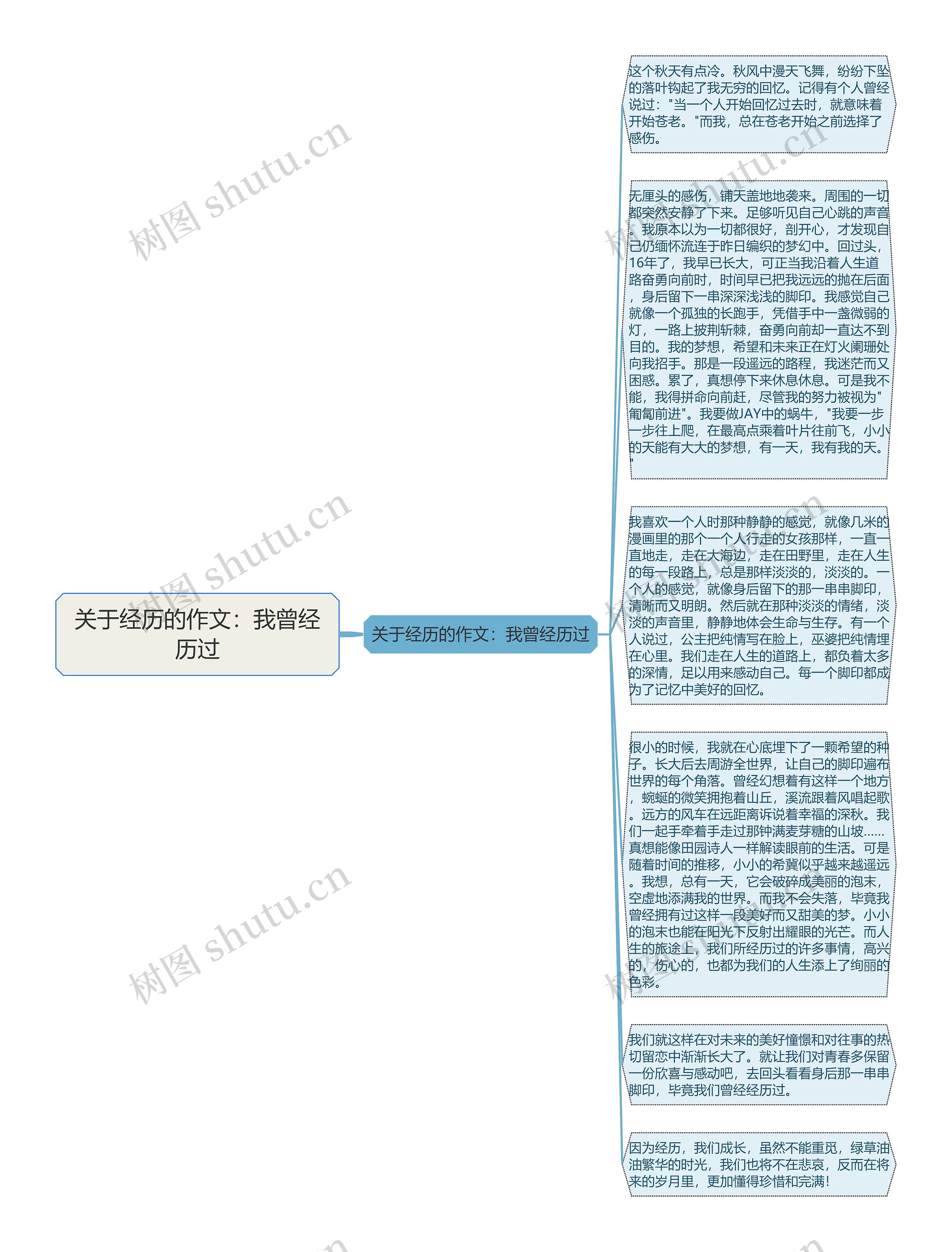 关于经历的作文：我曾经历过思维导图