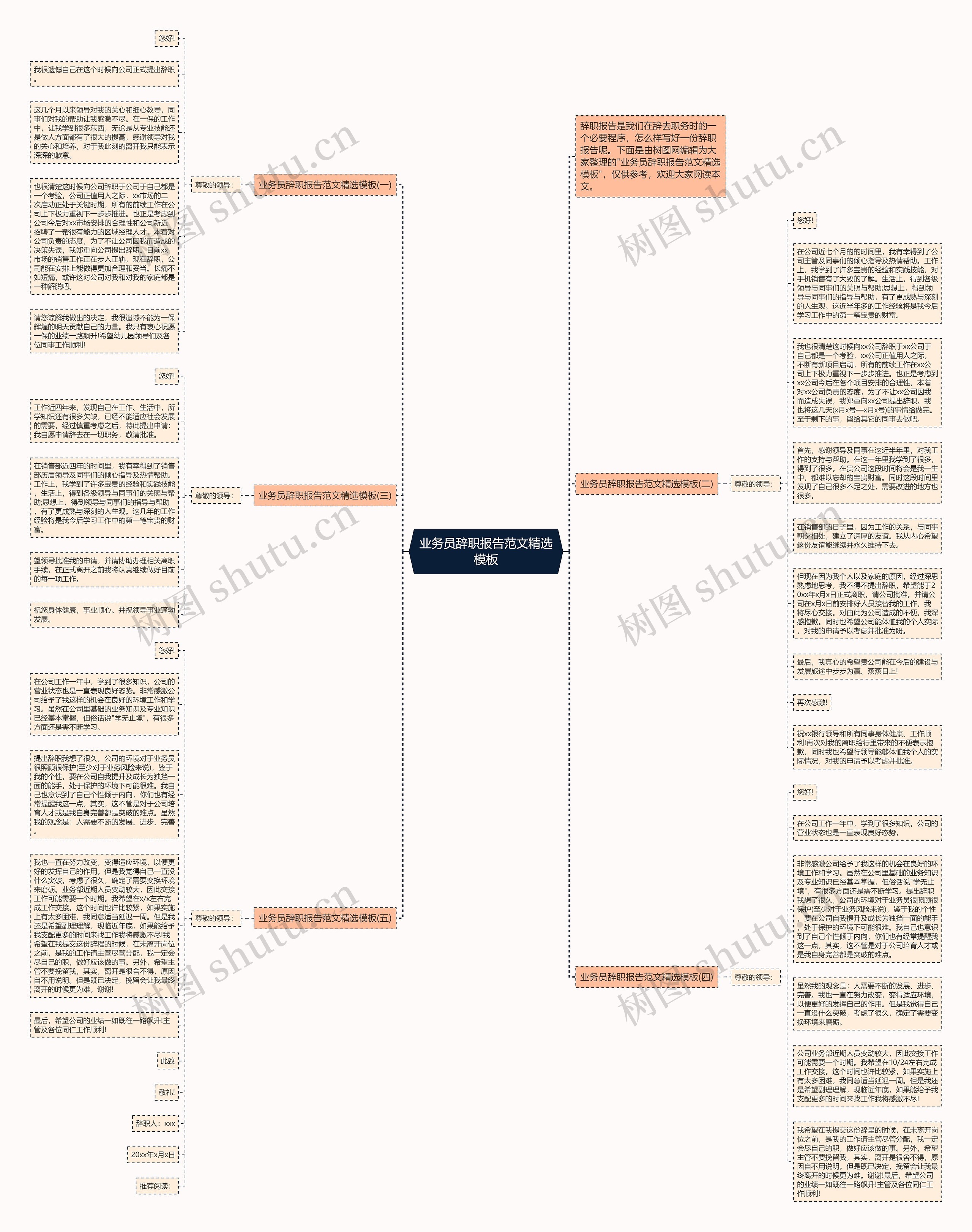 业务员辞职报告范文精选思维导图