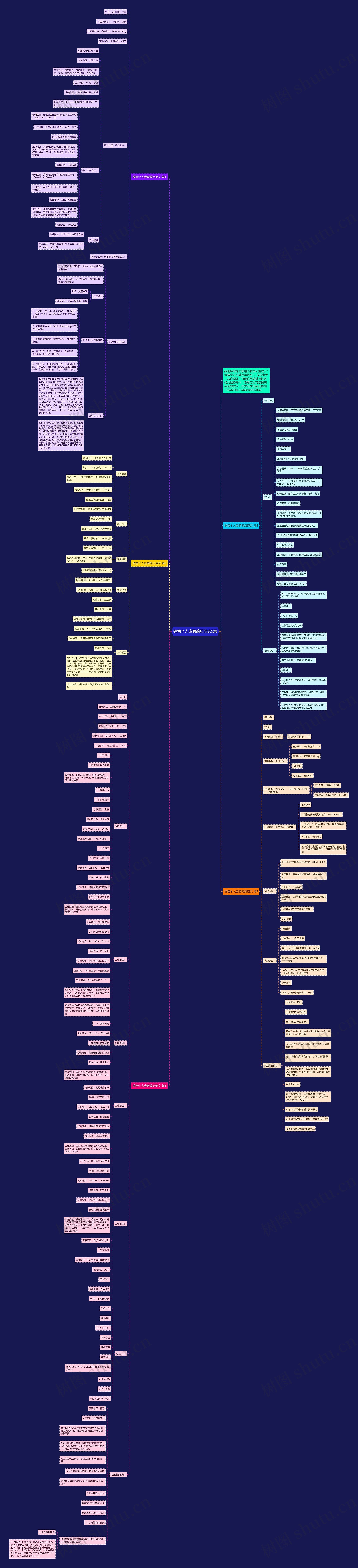 销售个人应聘简历范文5篇思维导图