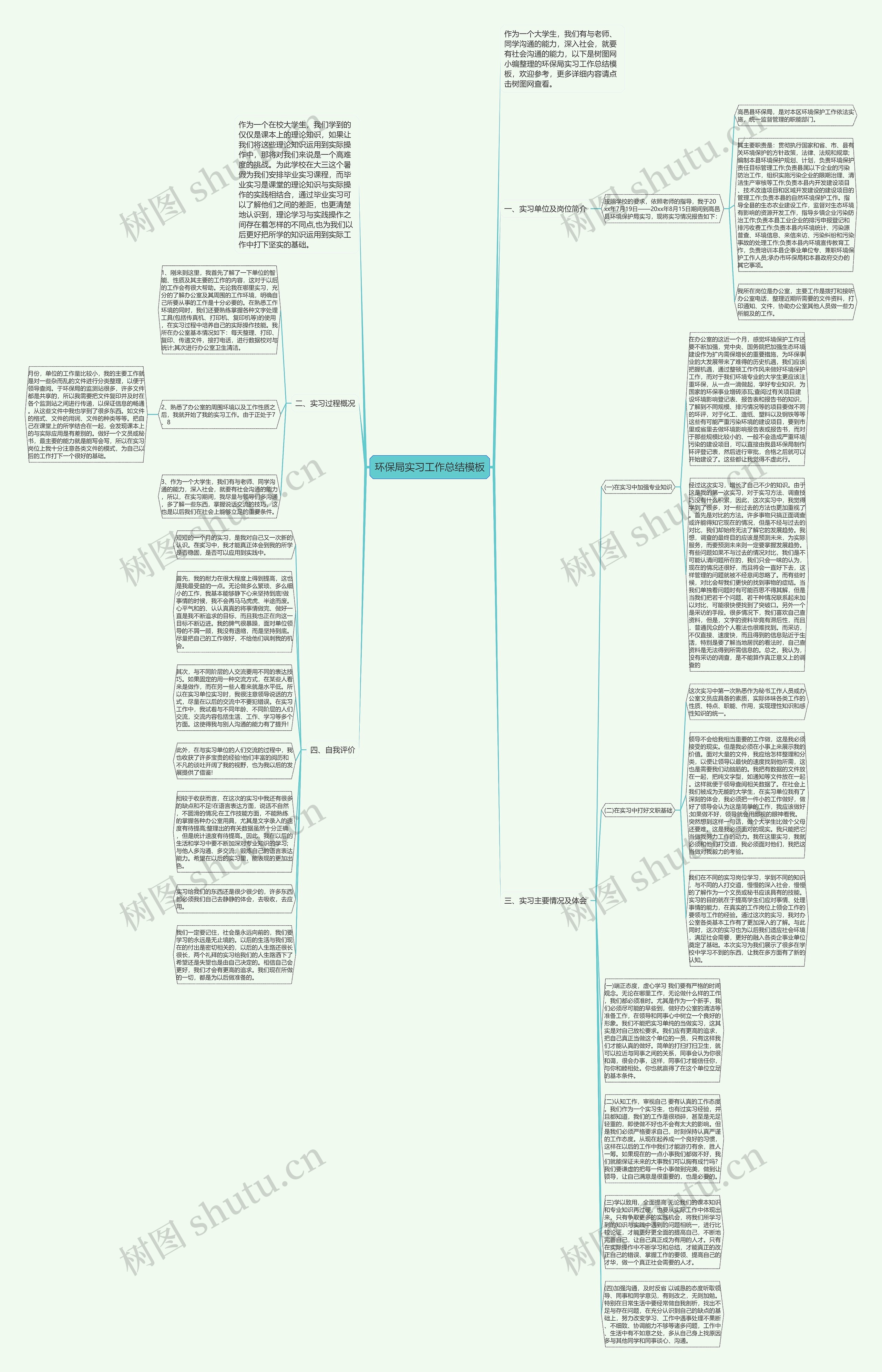 环保局实习工作总结思维导图