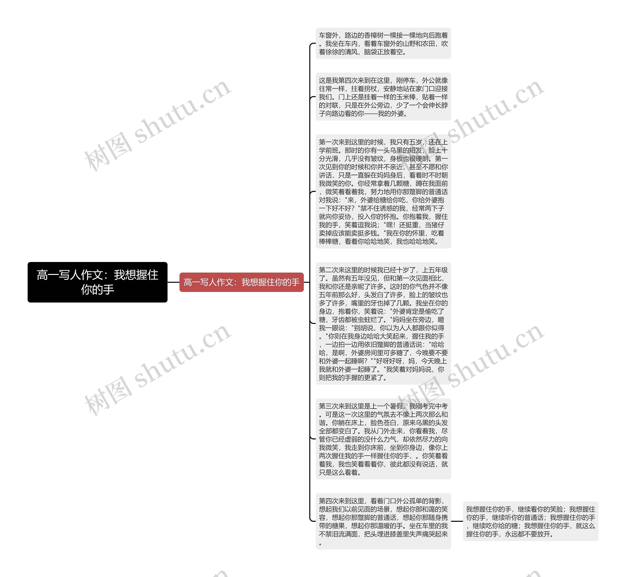 高一写人作文：我想握住你的手思维导图
