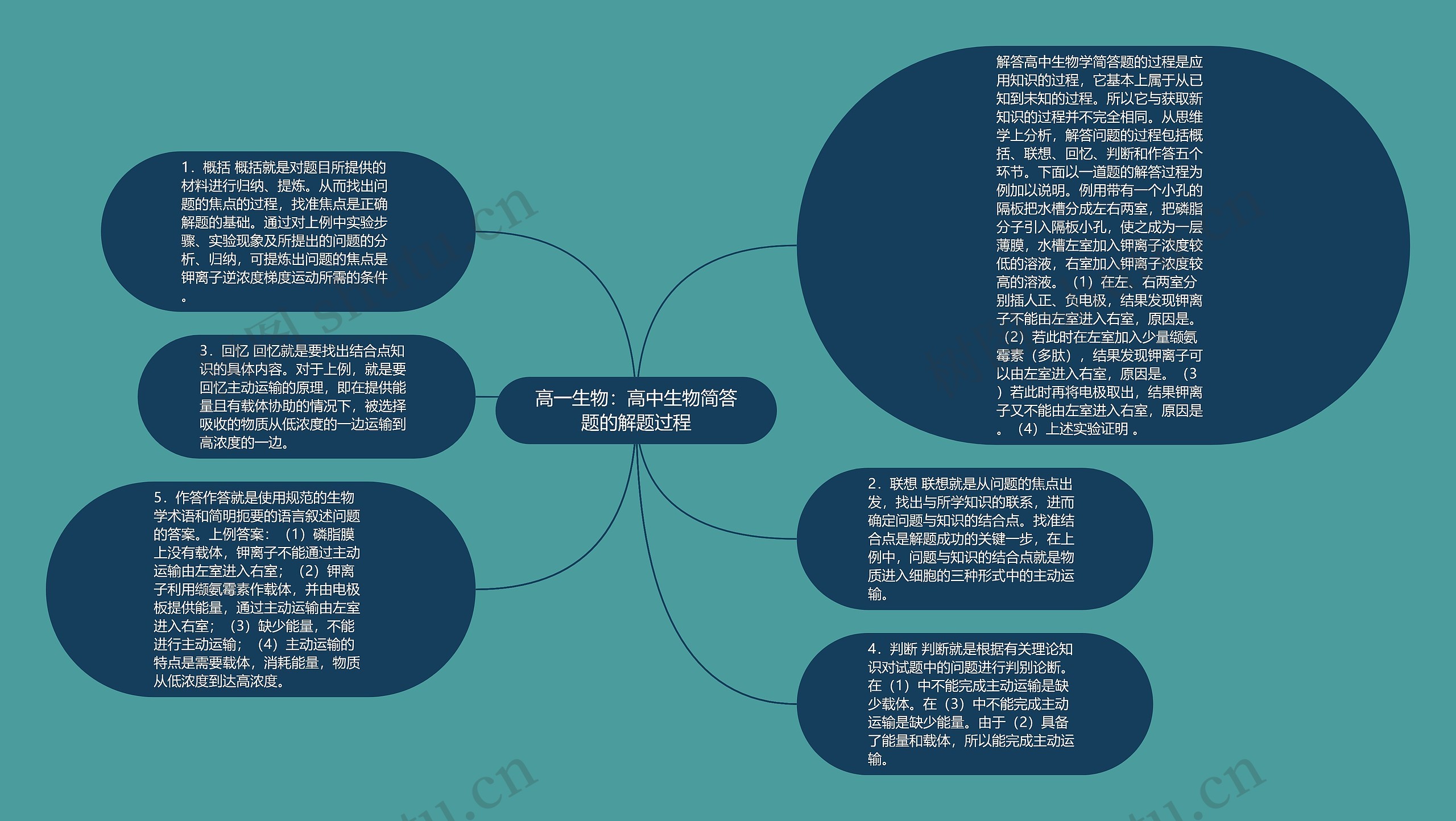 高一生物：高中生物简答题的解题过程思维导图