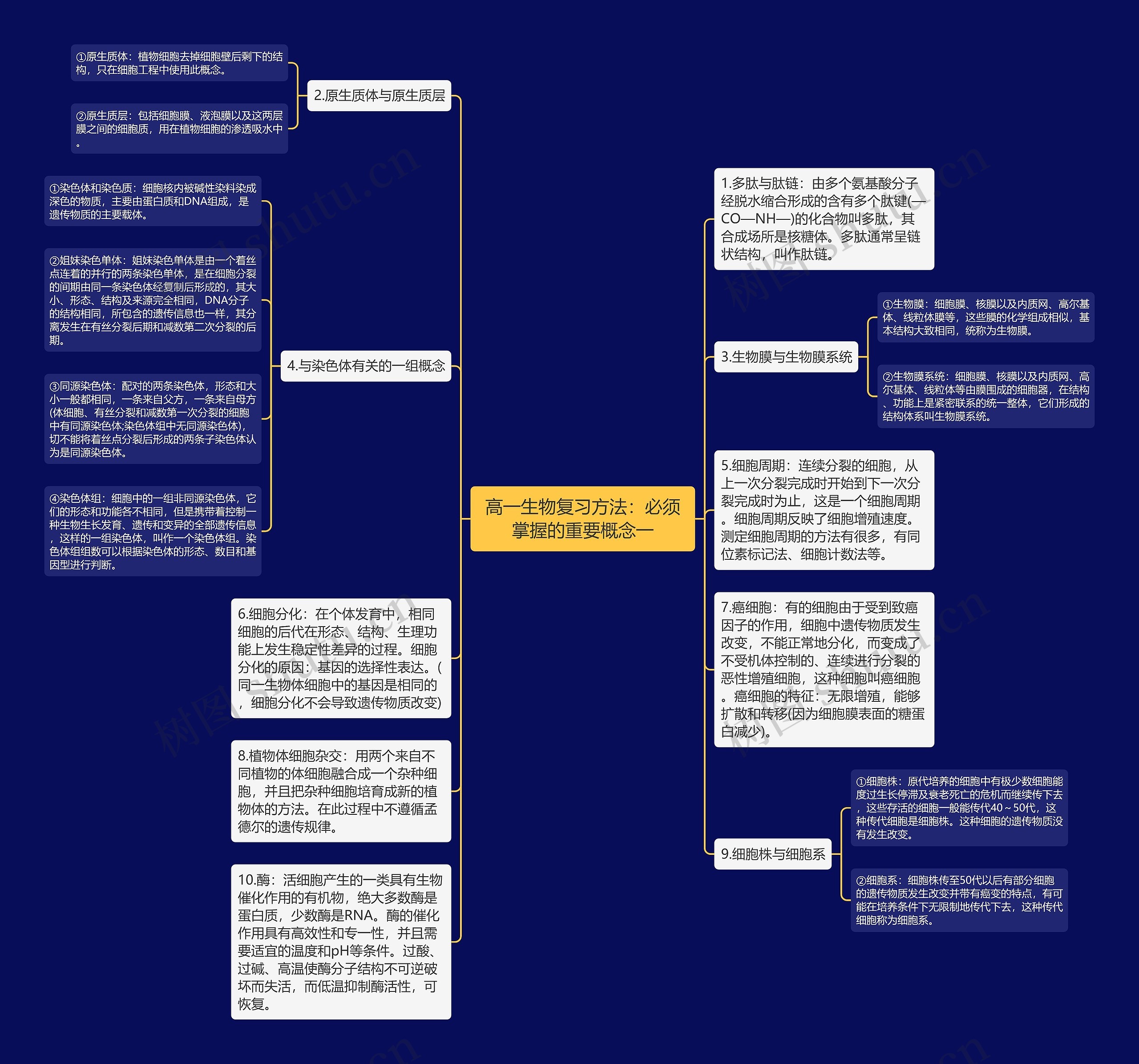 高一生物复习方法：必须掌握的重要概念一思维导图