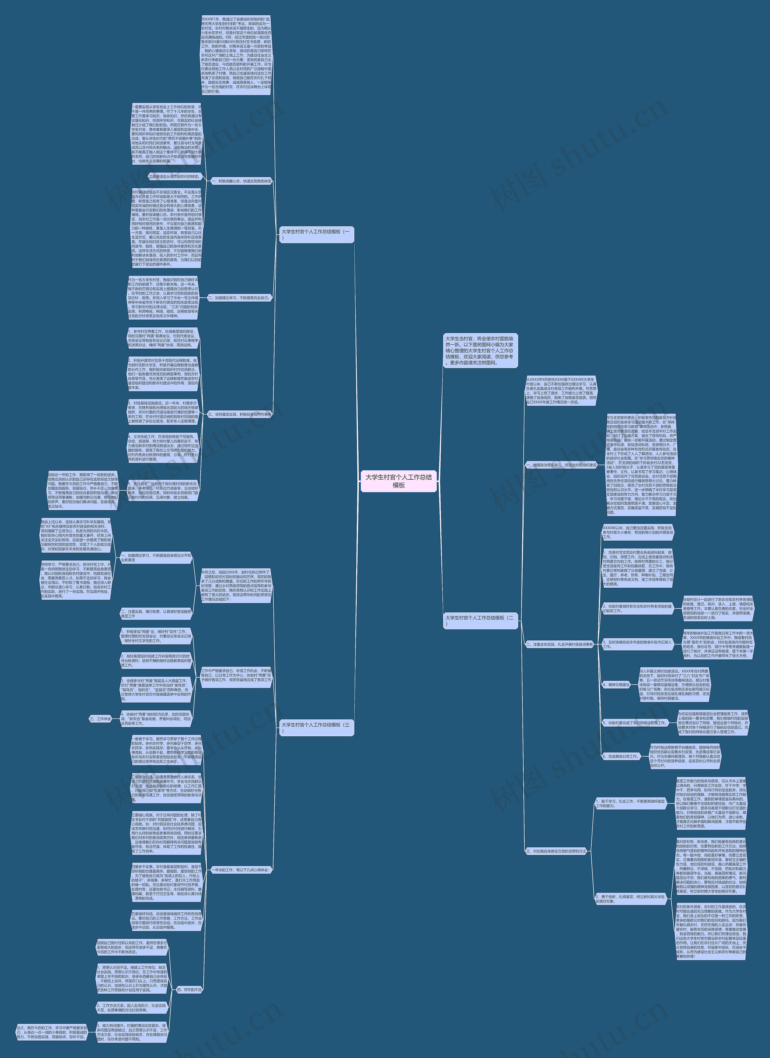 大学生村官个人工作总结思维导图