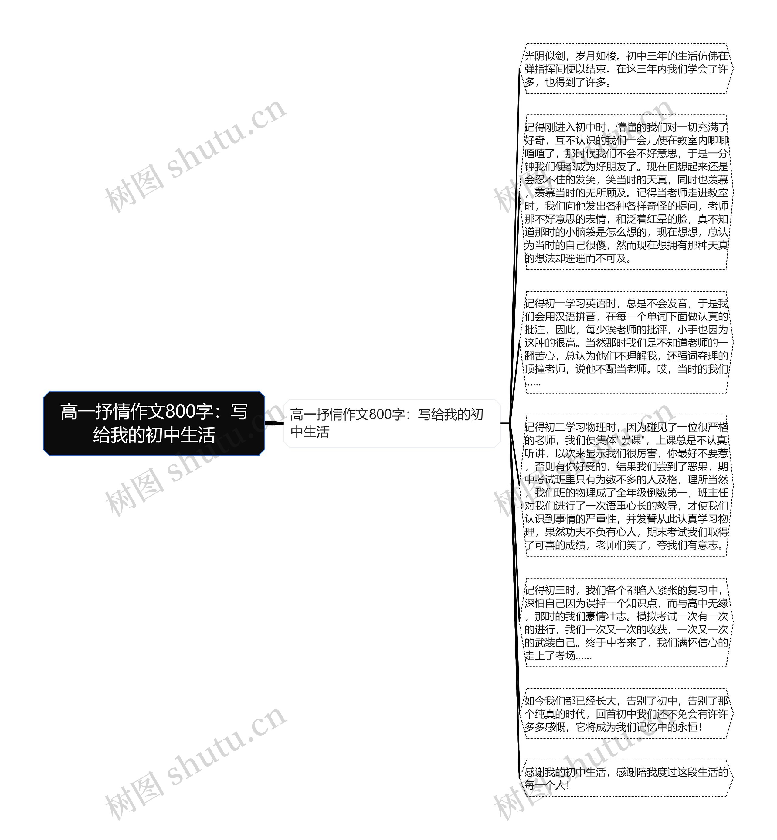 高一抒情作文800字：写给我的初中生活