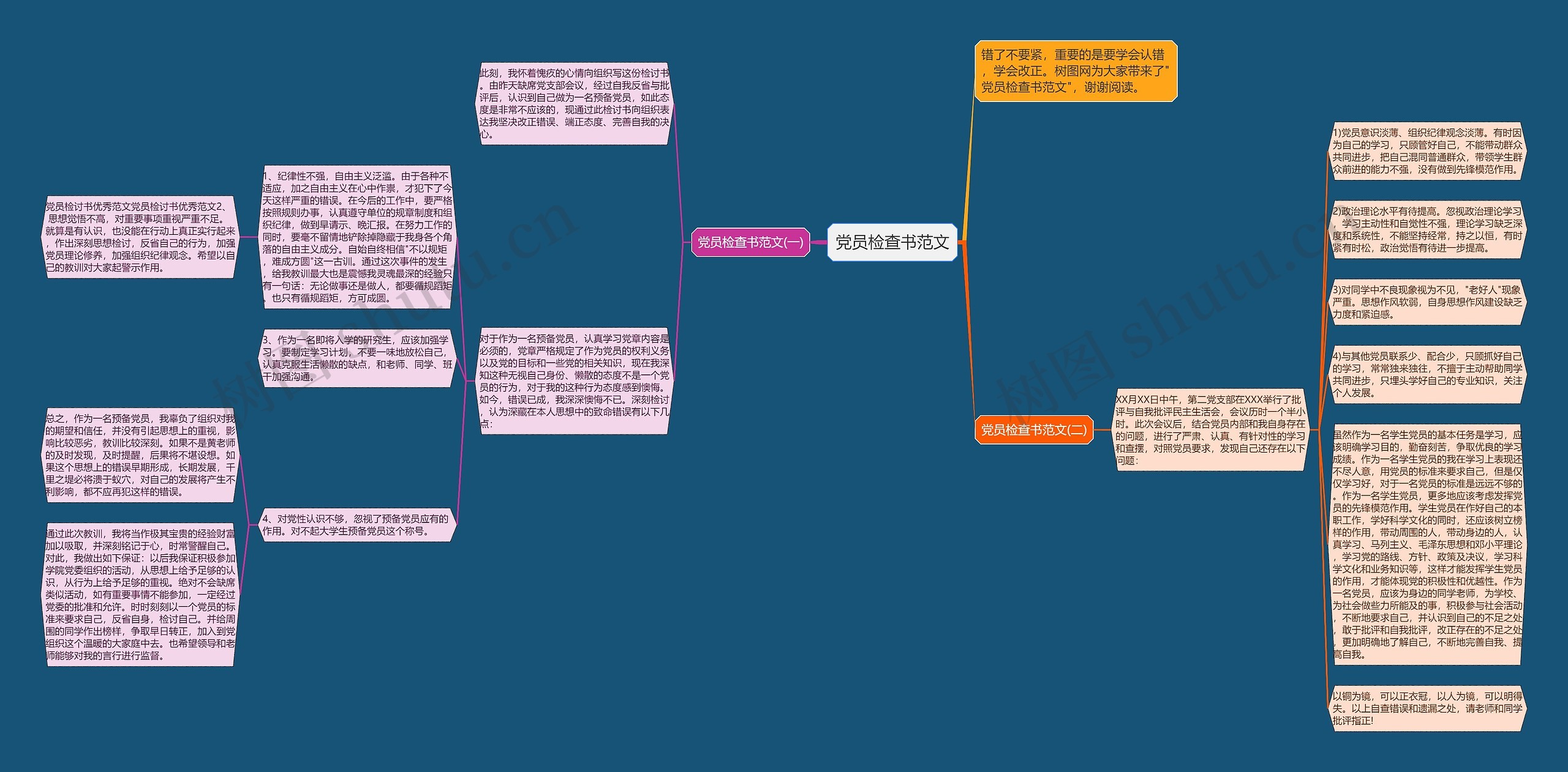 党员检查书范文思维导图