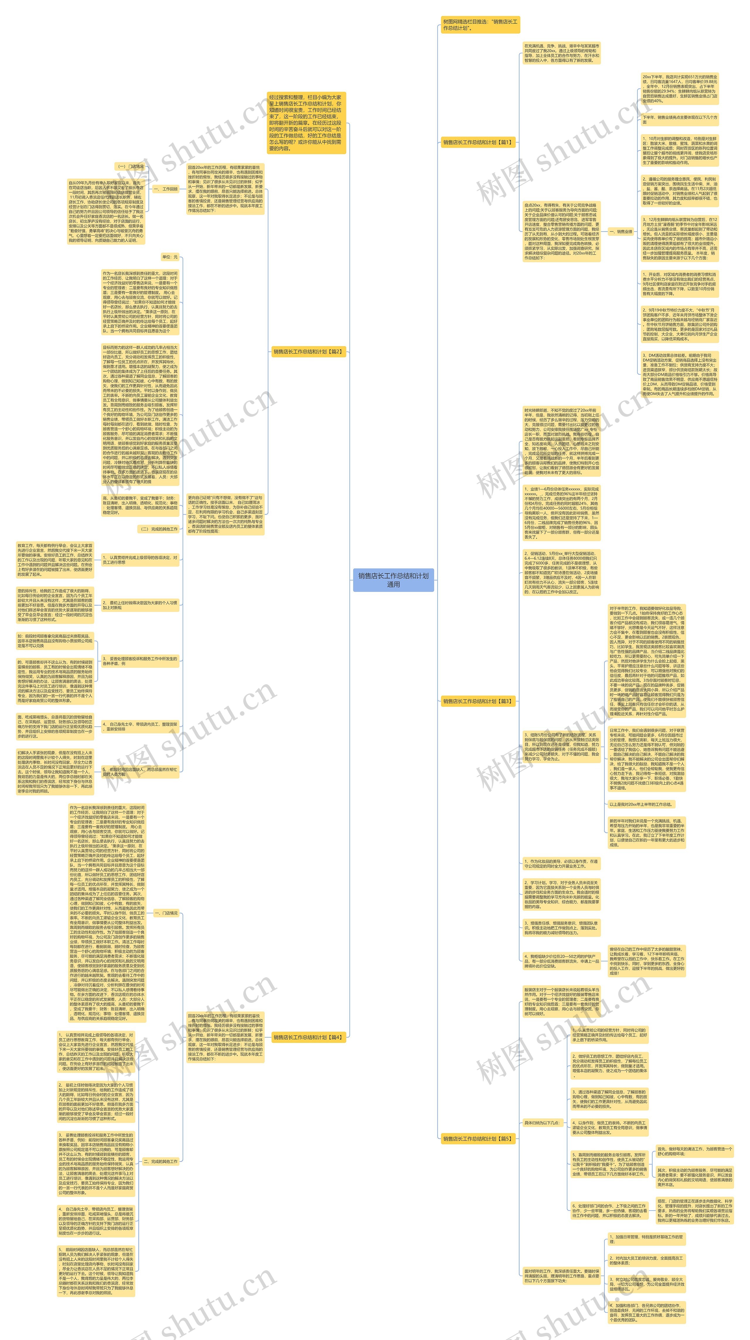 销售店长工作总结和计划通用思维导图