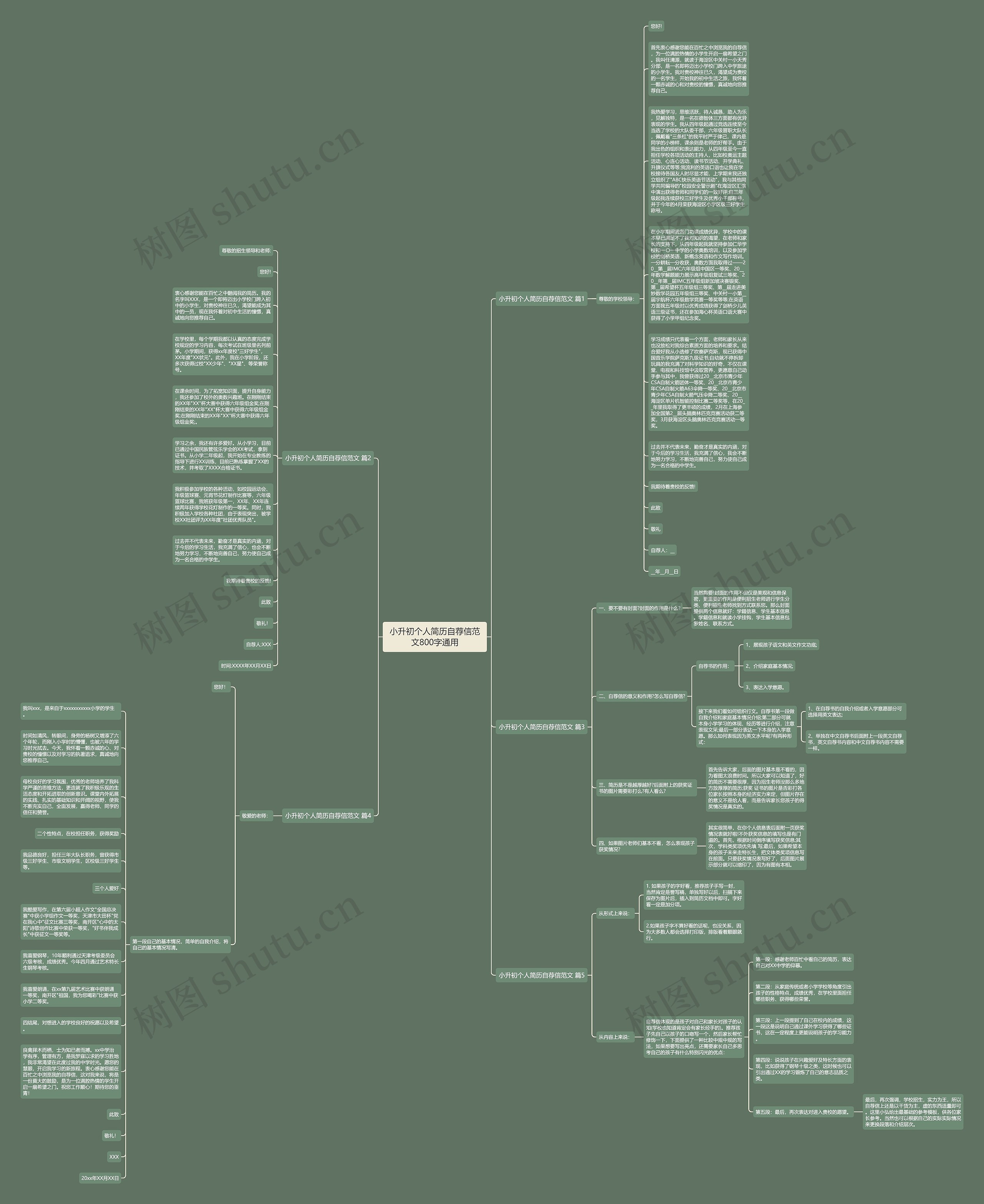 小升初个人简历自荐信范文800字通用思维导图