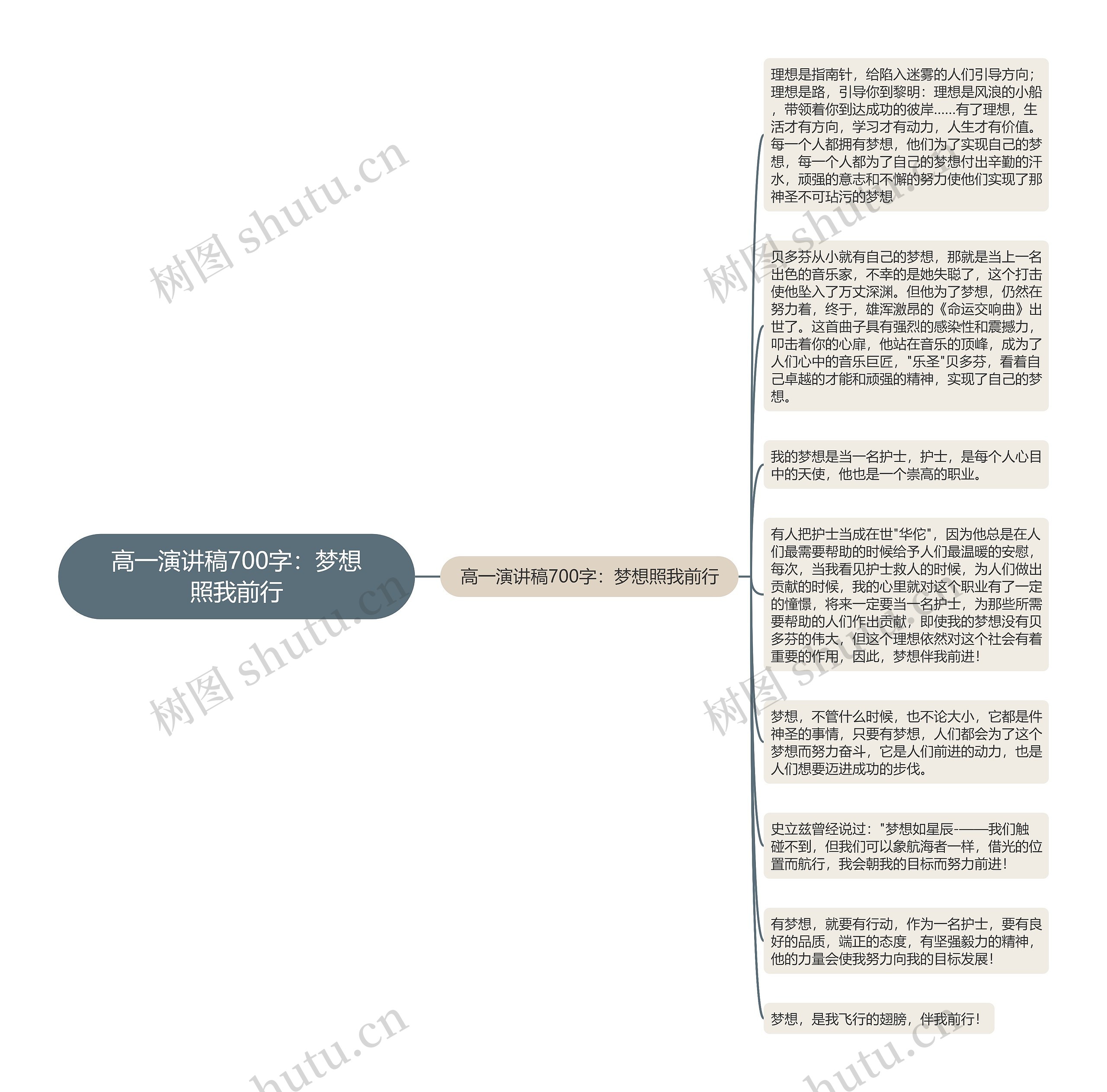 高一演讲稿700字：梦想照我前行