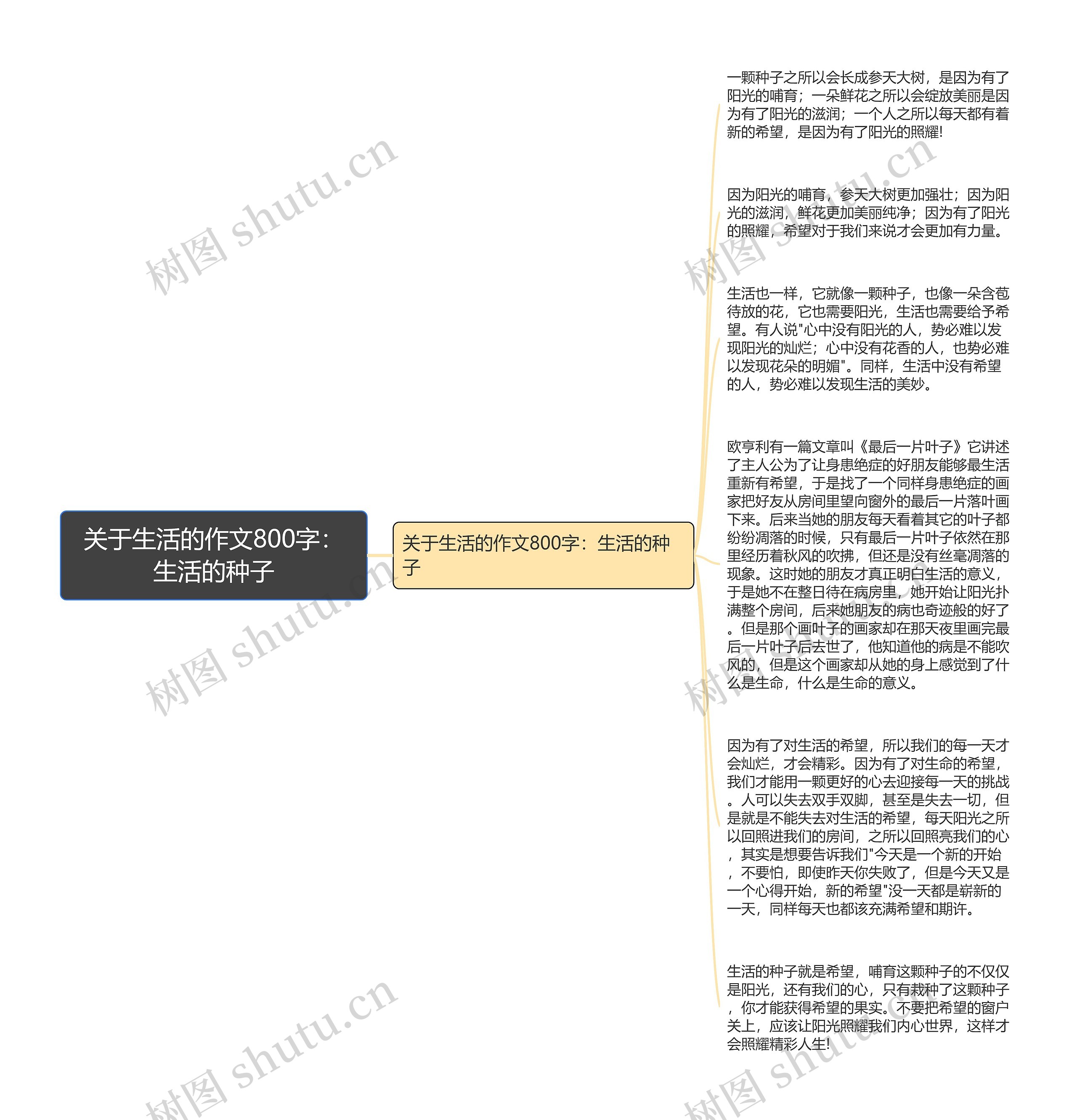 关于生活的作文800字：生活的种子思维导图