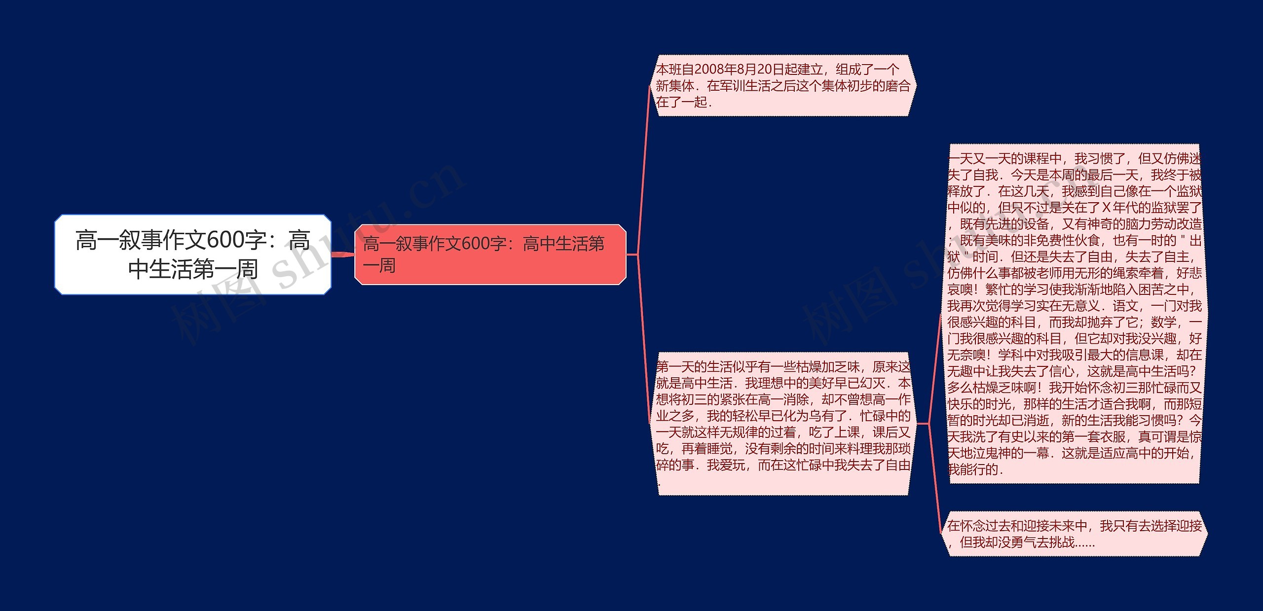 高一叙事作文600字：高中生活第一周思维导图