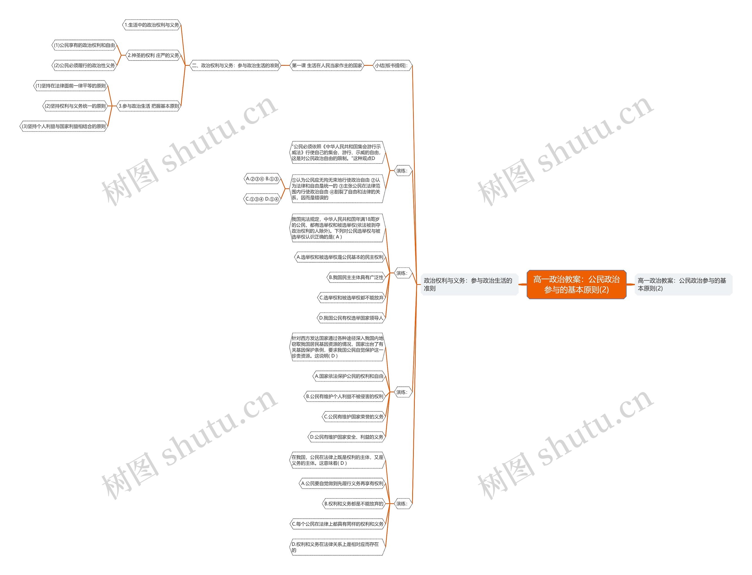 高一政治教案：公民政治参与的基本原则(2)思维导图