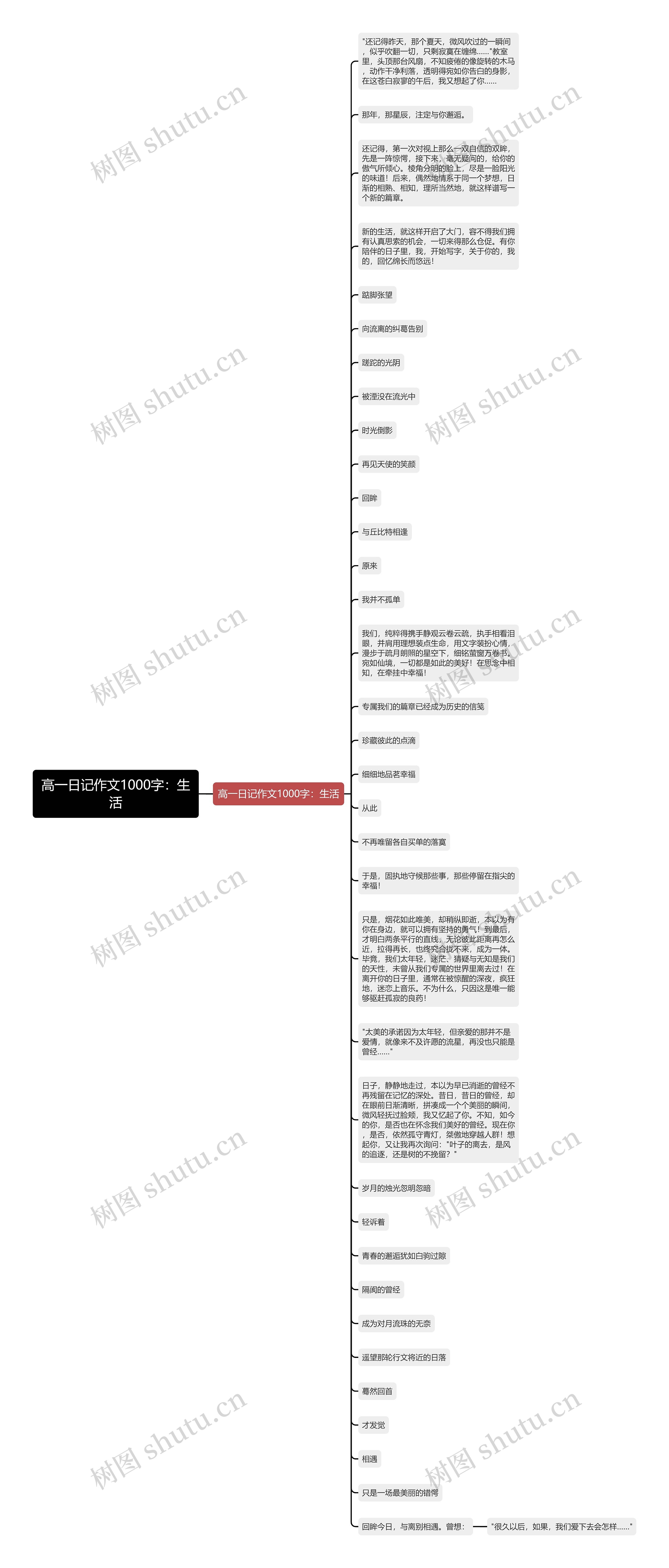 高一日记作文1000字：生活思维导图