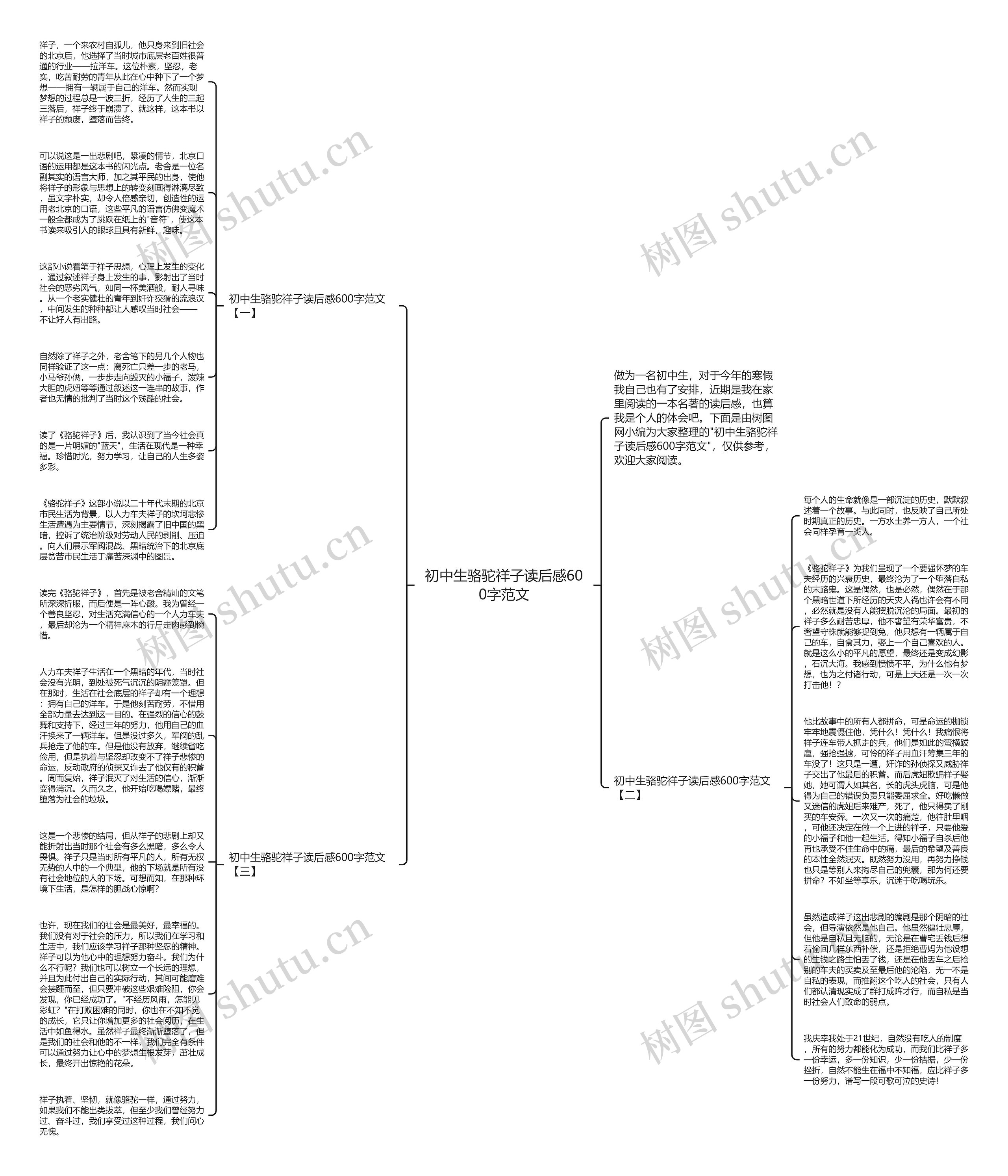 初中生骆驼祥子读后感600字范文思维导图