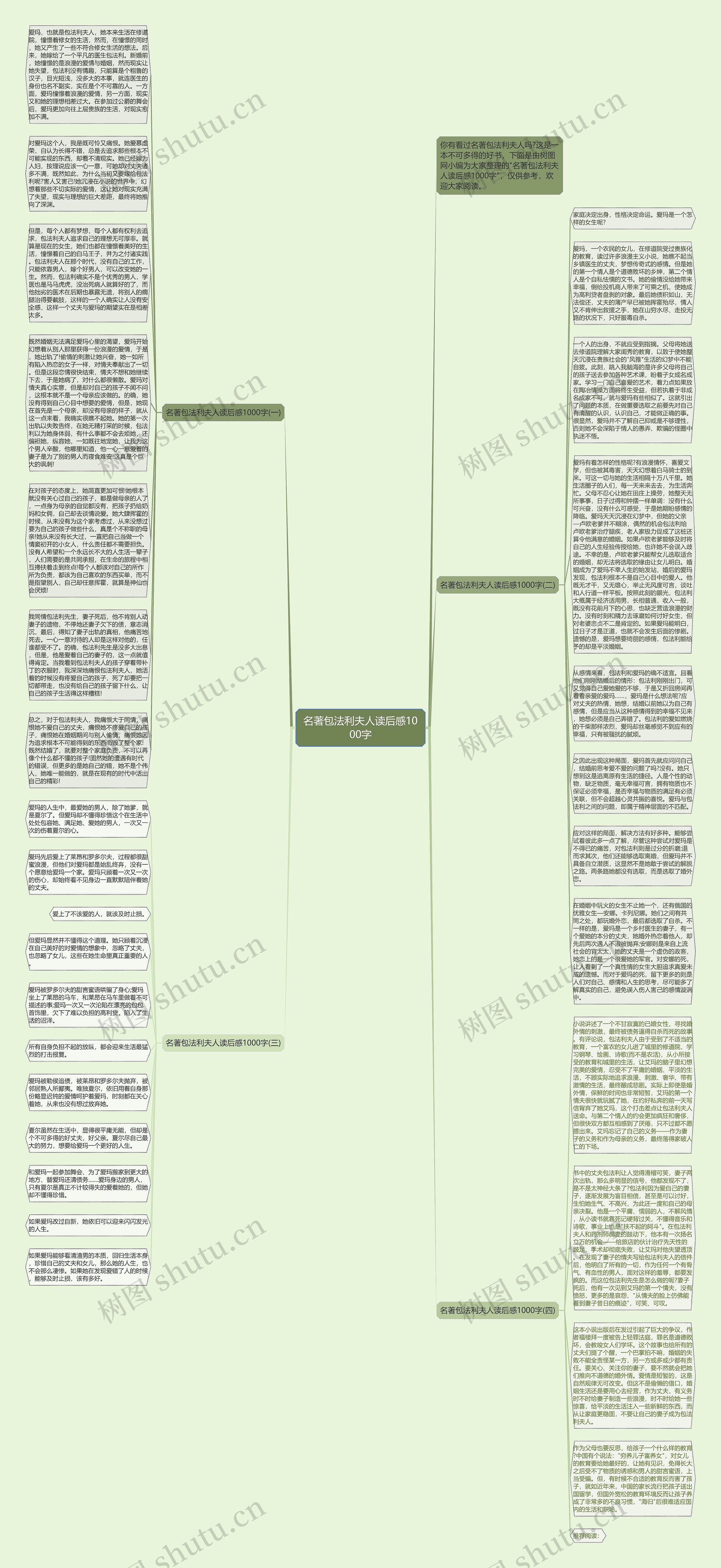 名著包法利夫人读后感1000字思维导图