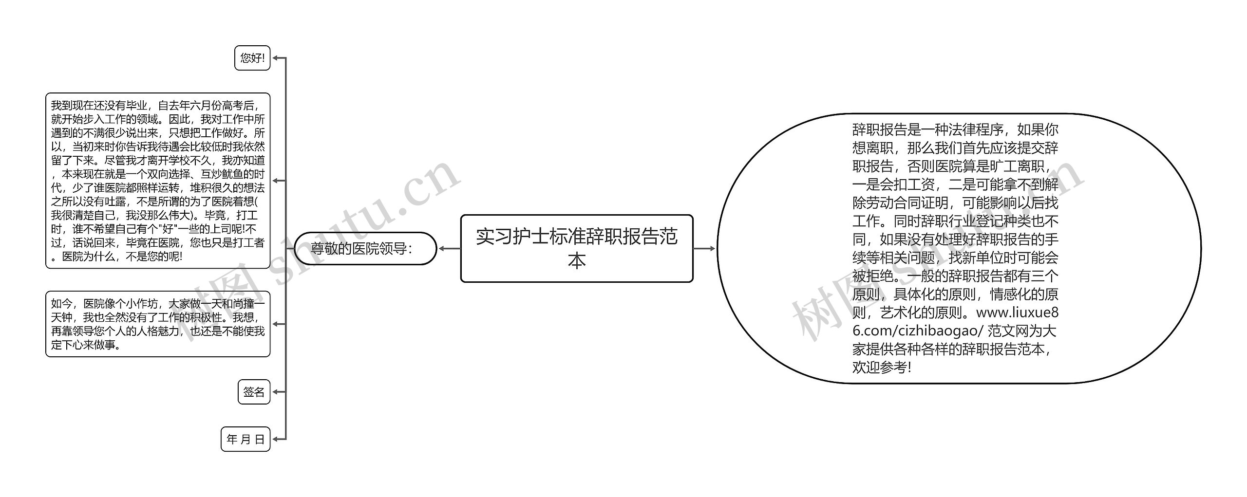 实习护士标准辞职报告范本