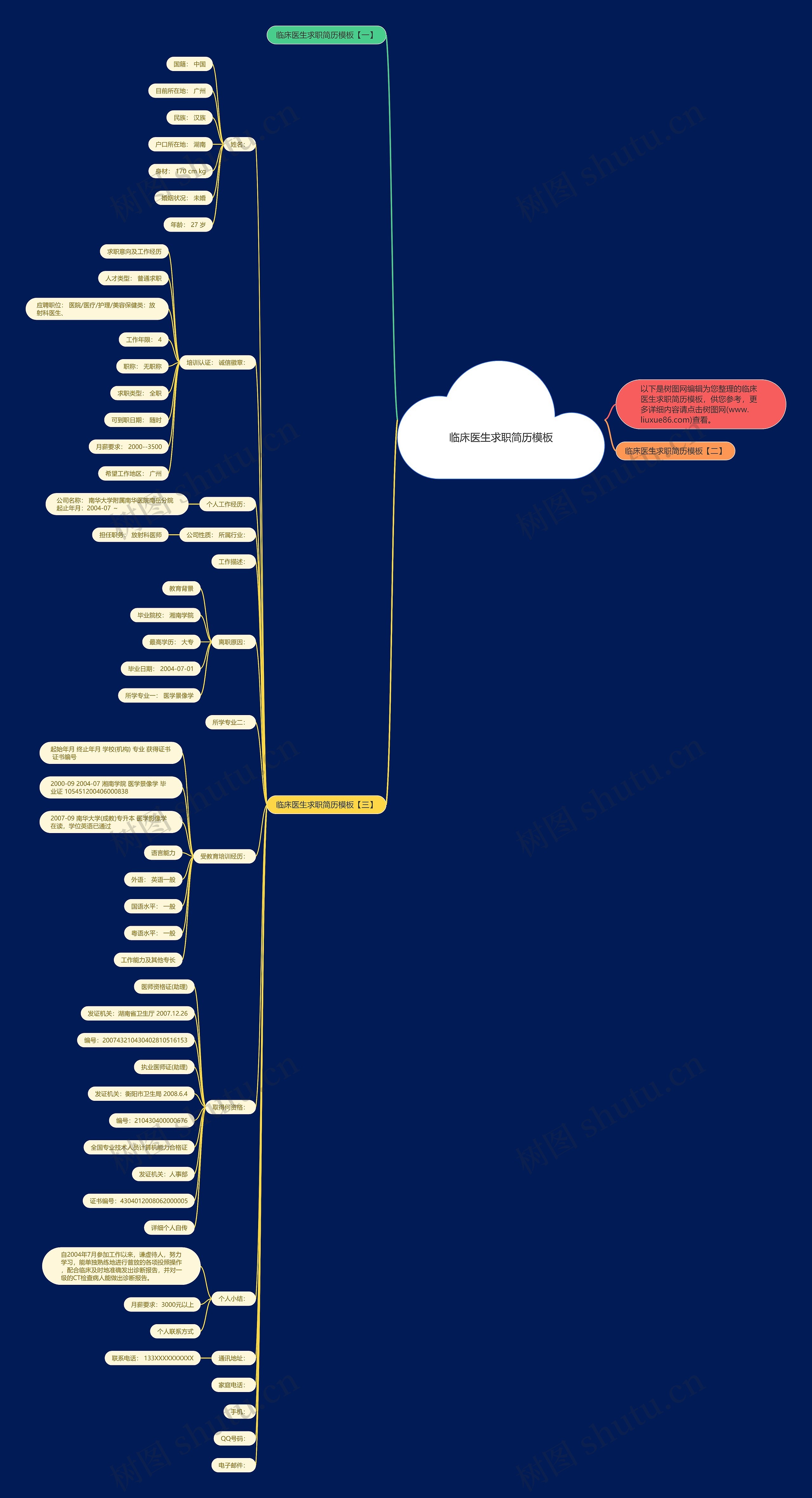 临床医生求职简历思维导图
