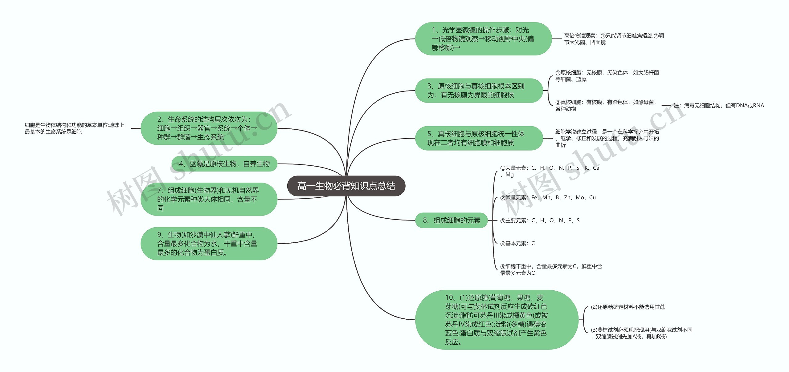 高一生物必背知识点总结