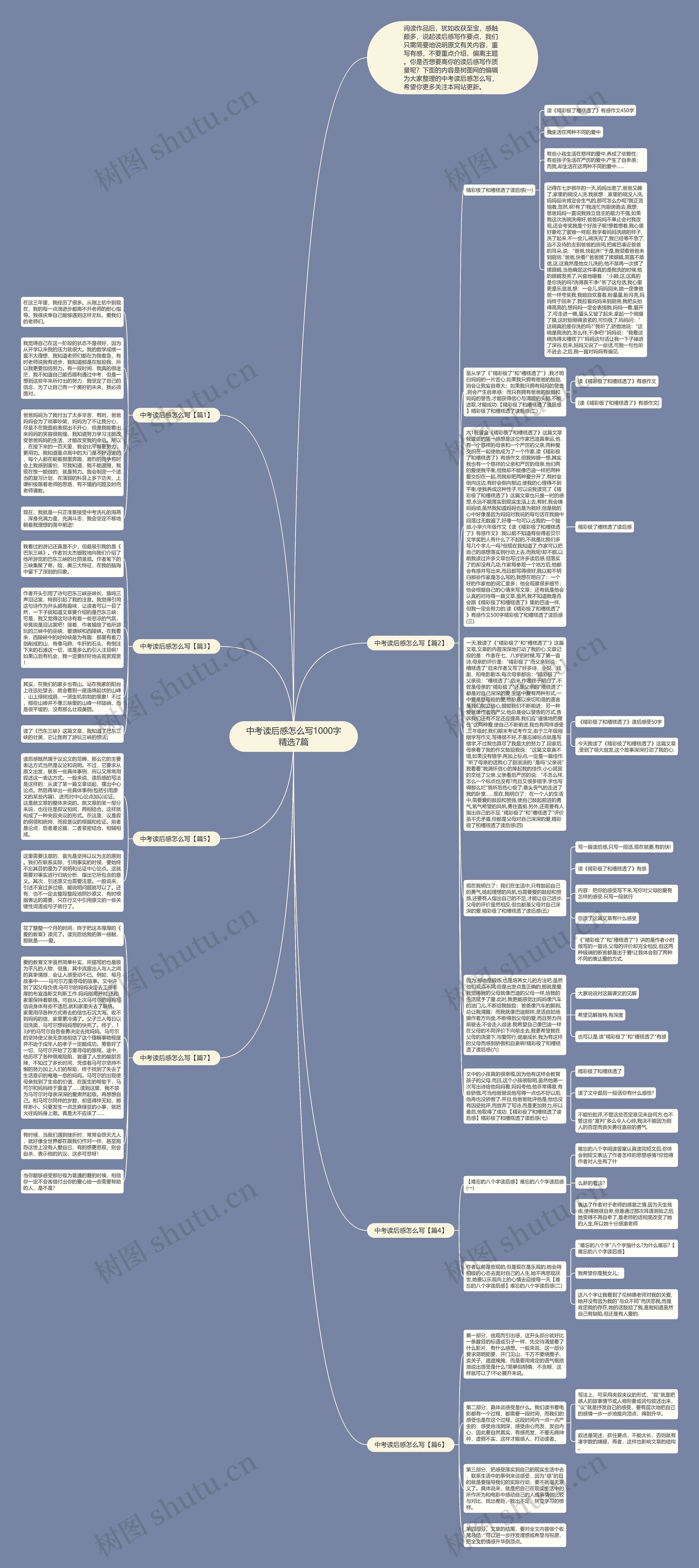 中考读后感怎么写1000字精选7篇思维导图