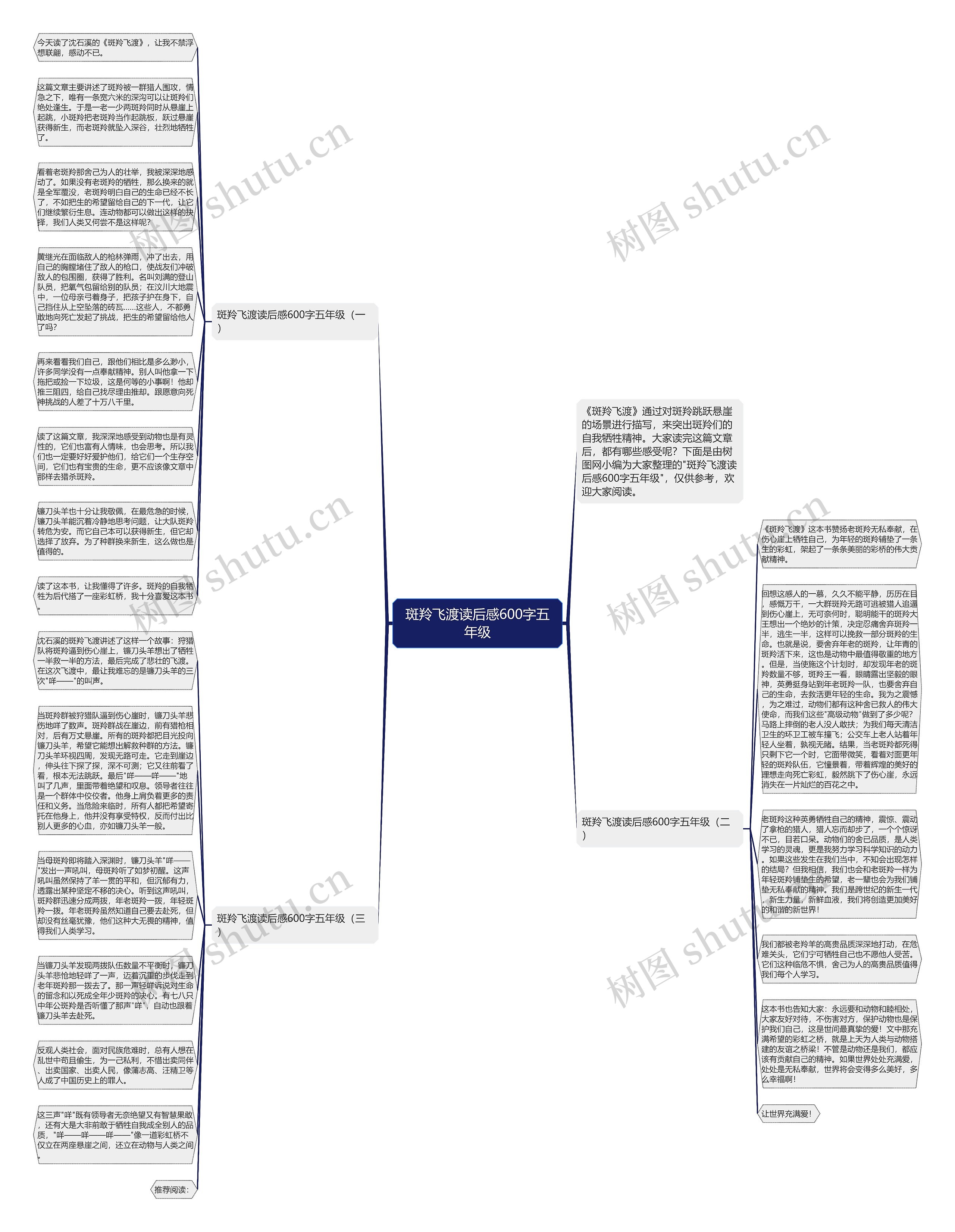 斑羚飞渡读后感600字五年级思维导图