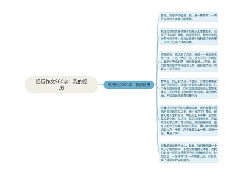 经历作文500字：我的经历