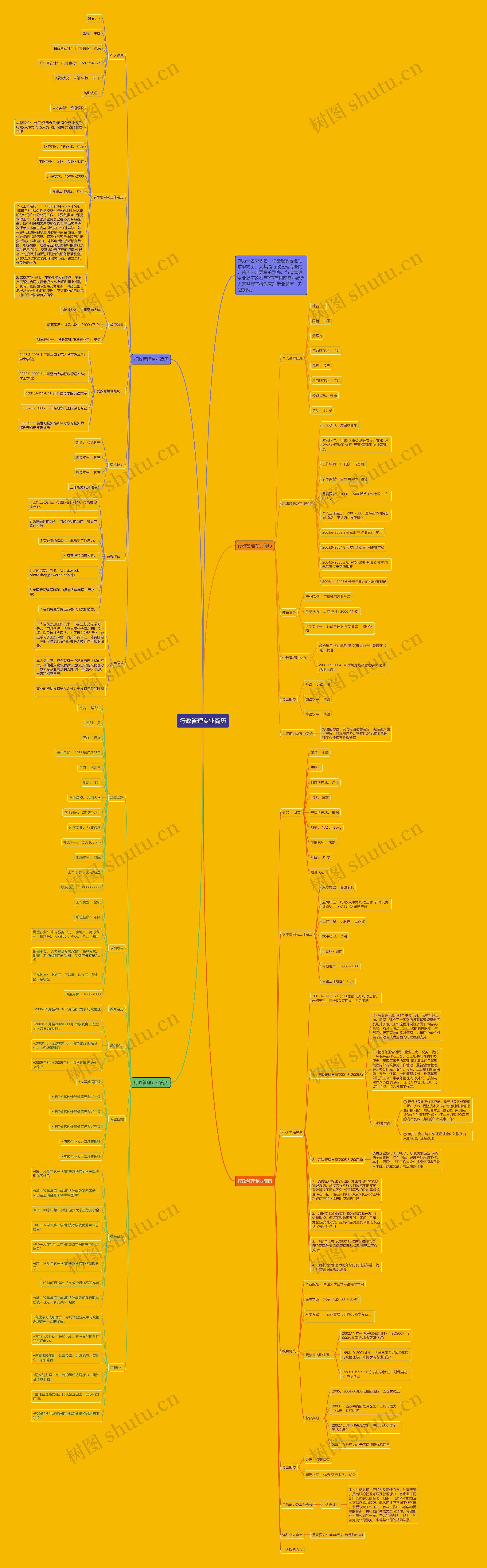 行政管理专业简历思维导图高清图 行政管理专业简历思维导图