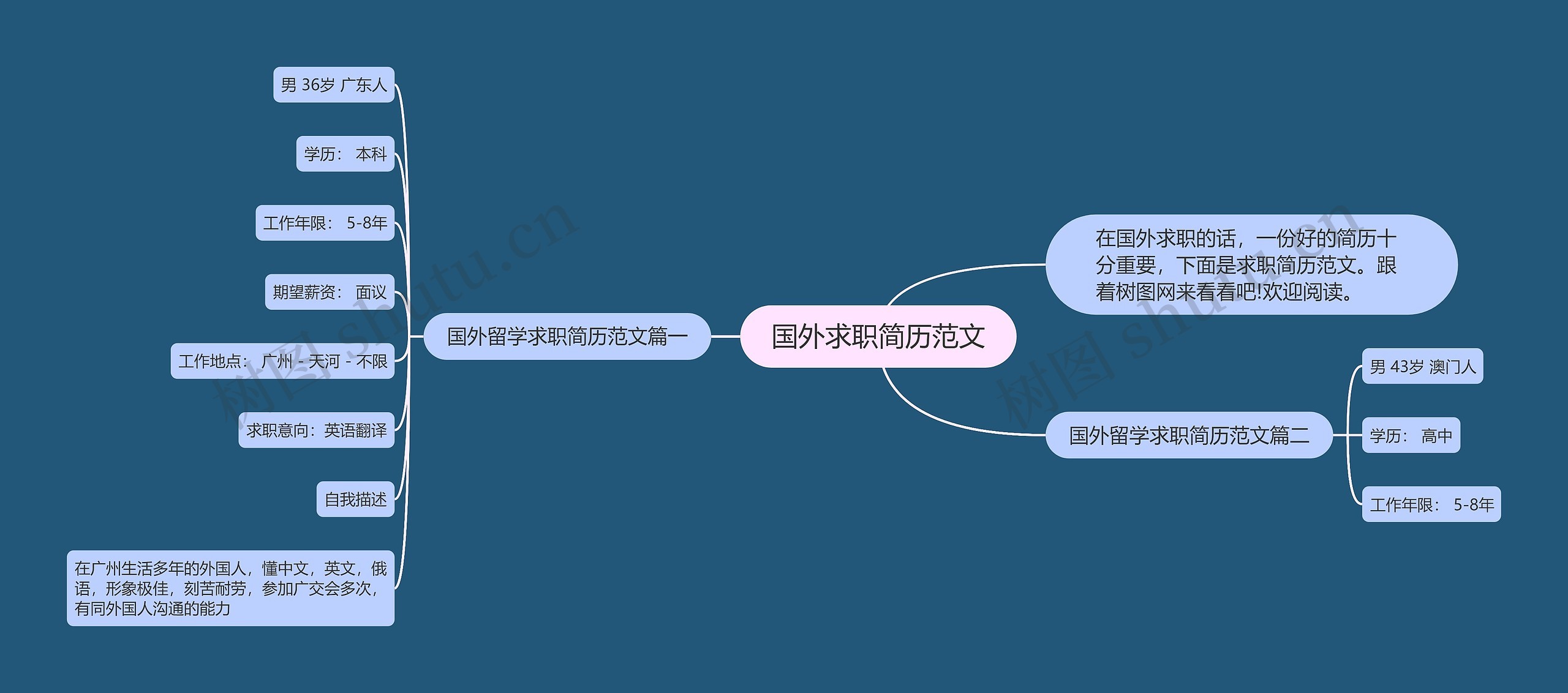 国外求职简历范文