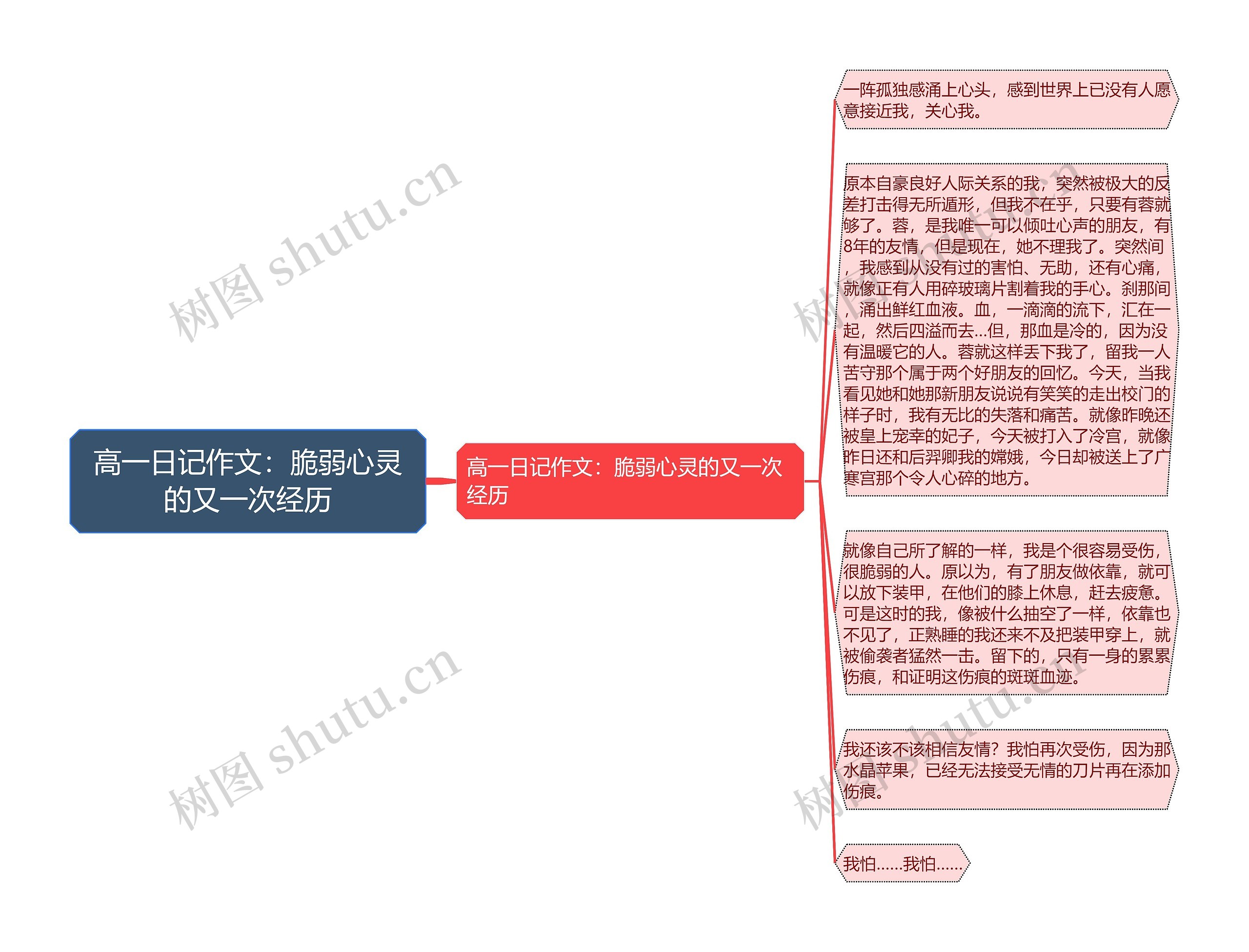 高一日记作文：脆弱心灵的又一次经历思维导图