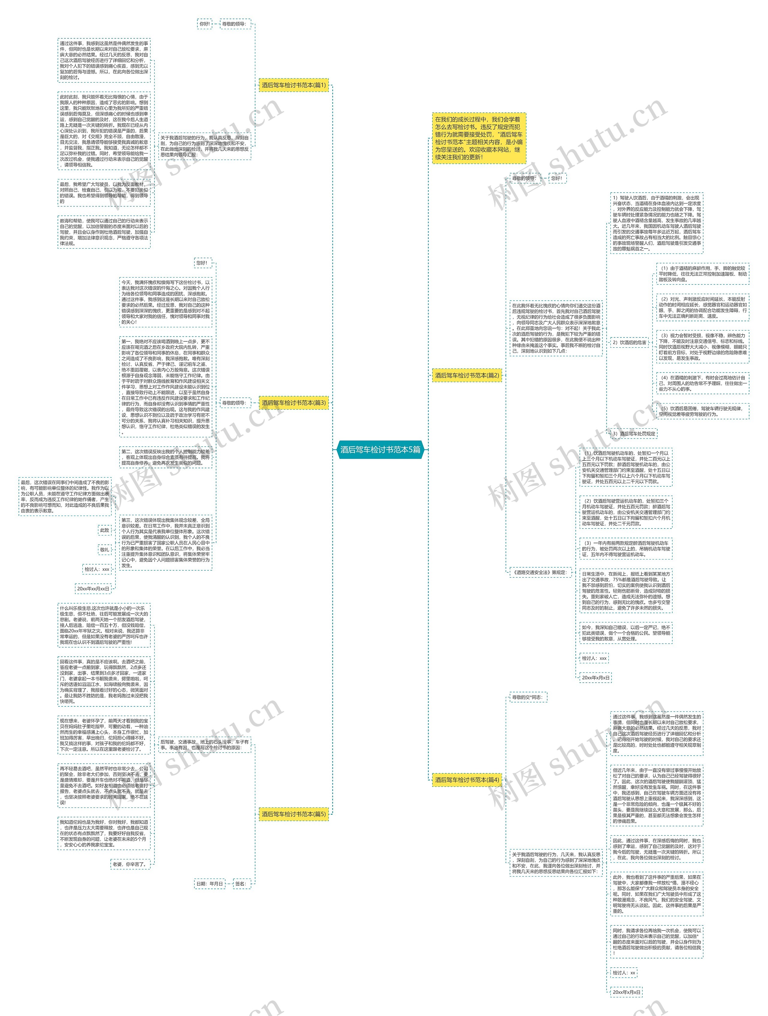 酒后驾车检讨书范本5篇思维导图