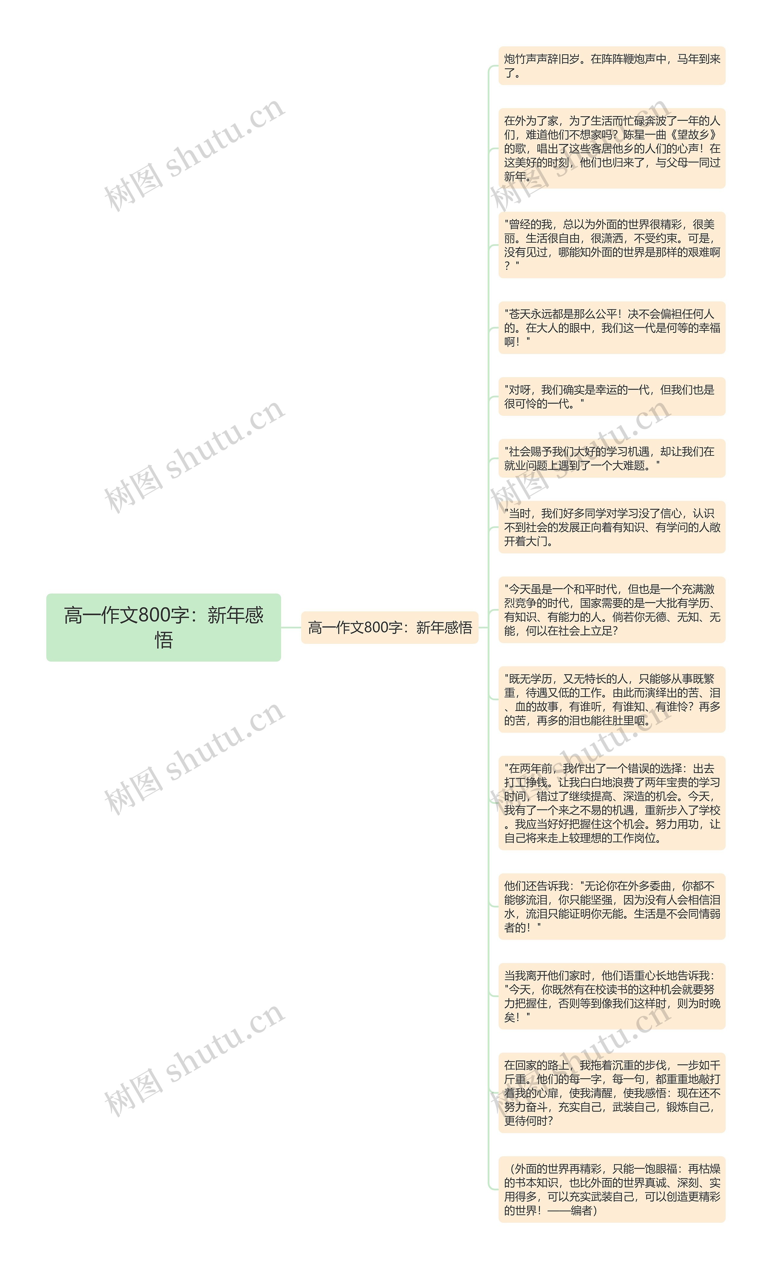 高一作文800字：新年感悟