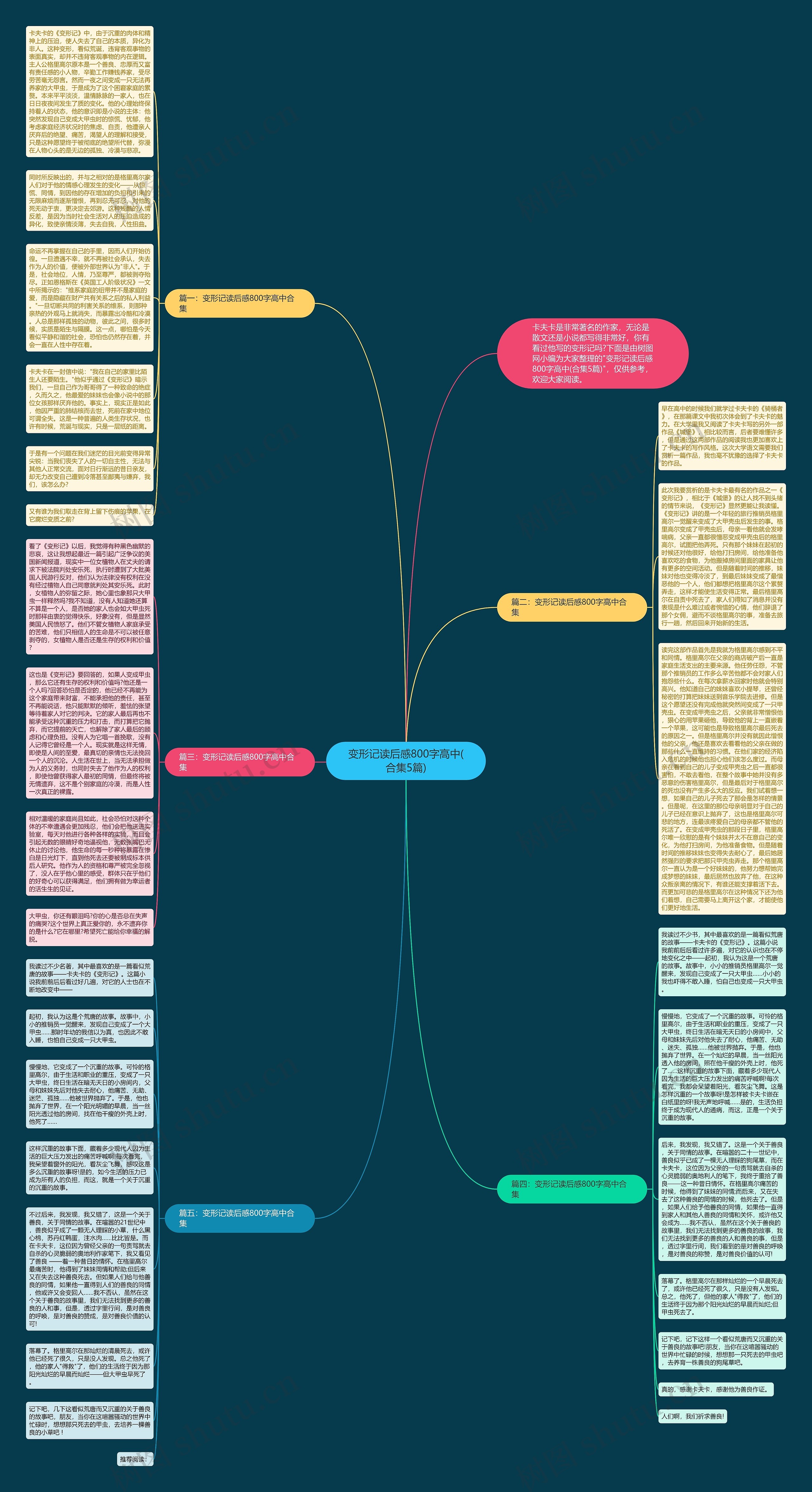 变形记读后感800字高中(合集5篇)思维导图