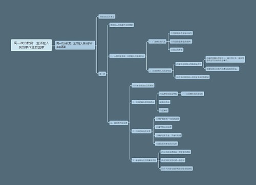 高一政治教案：生活在人民当家作主的国家