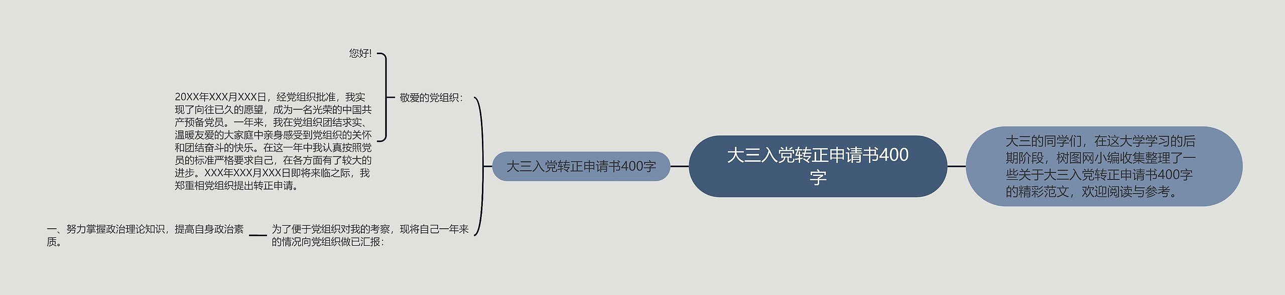 大三入党转正申请书400字