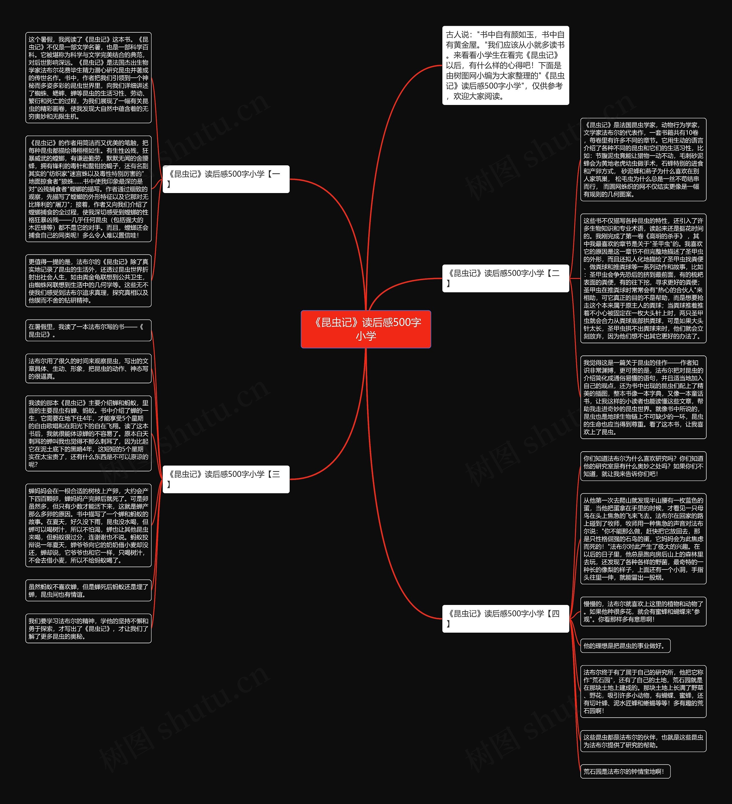 《昆虫记》读后感500字小学思维导图