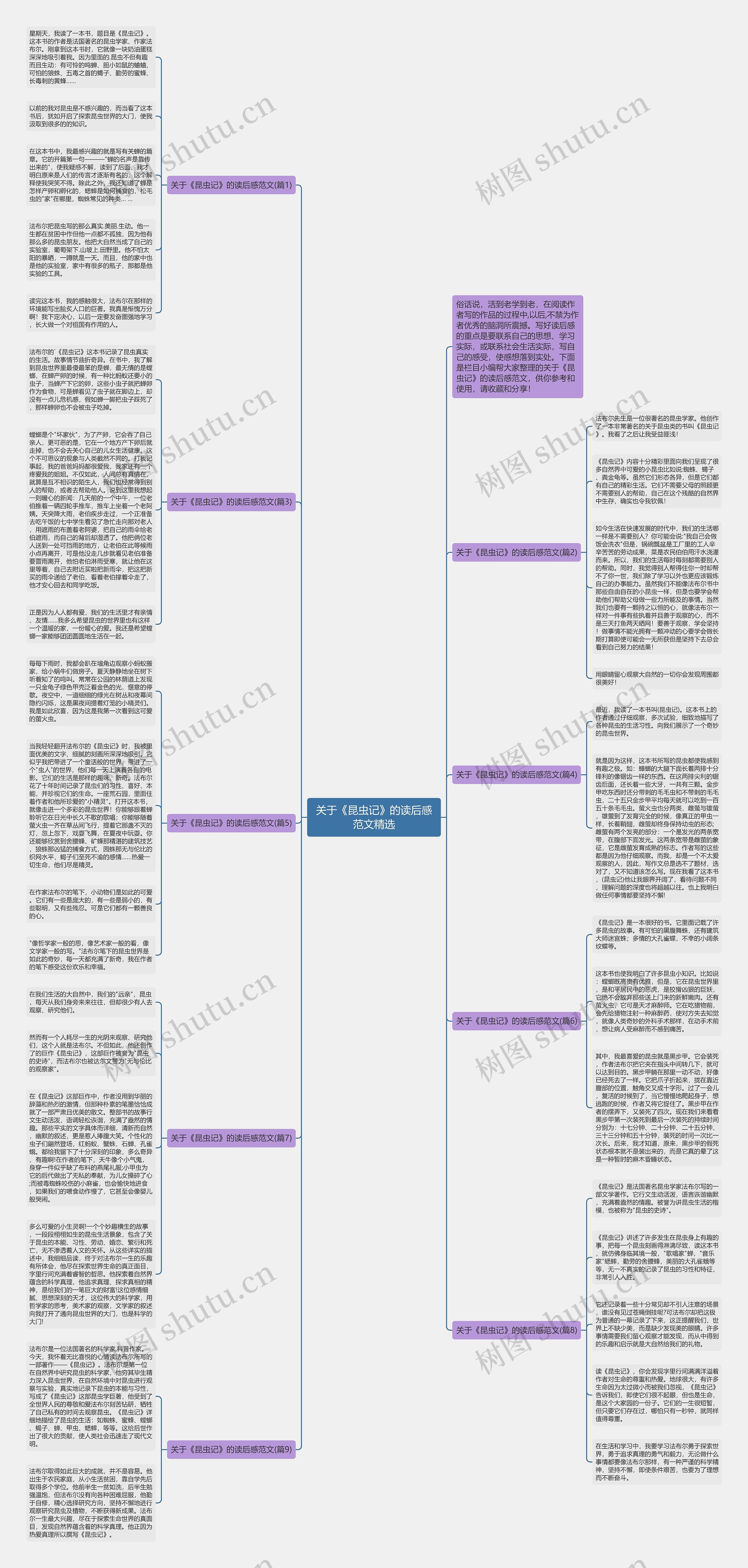 关于《昆虫记》的读后感范文精选思维导图