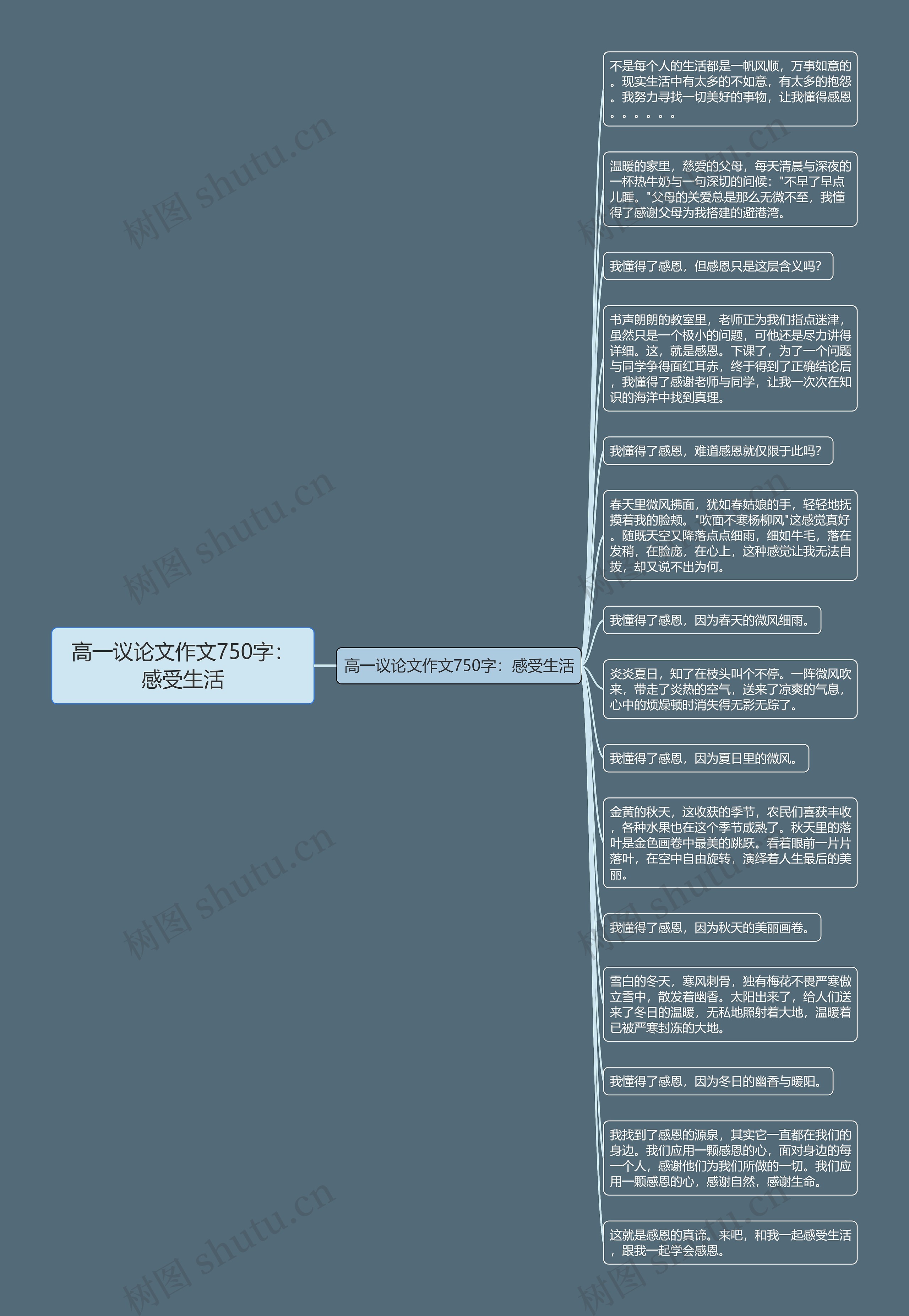 高一议论文作文750字：感受生活思维导图