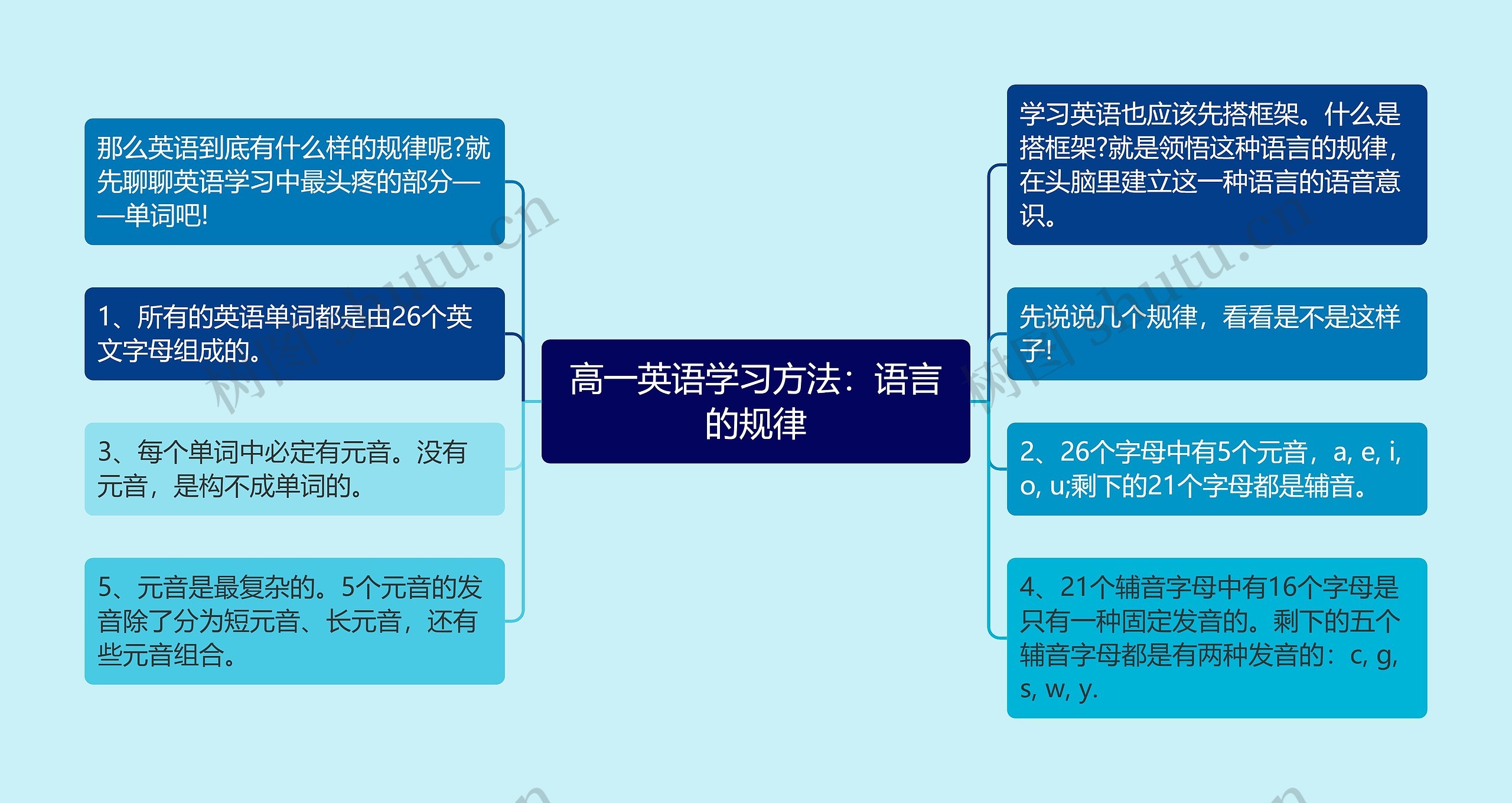 高一英语学习方法：语言的规律