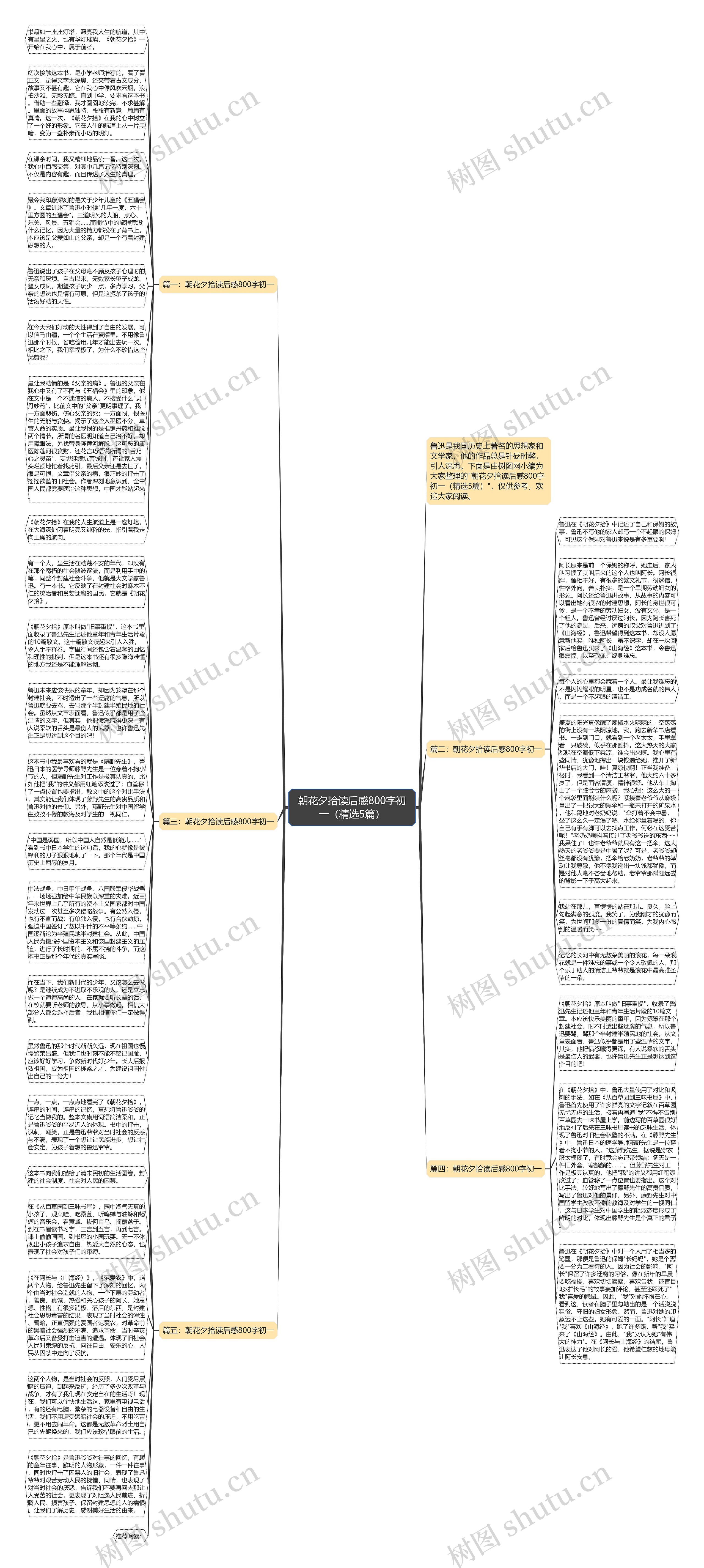 朝花夕拾读后感800字初一（精选5篇）思维导图