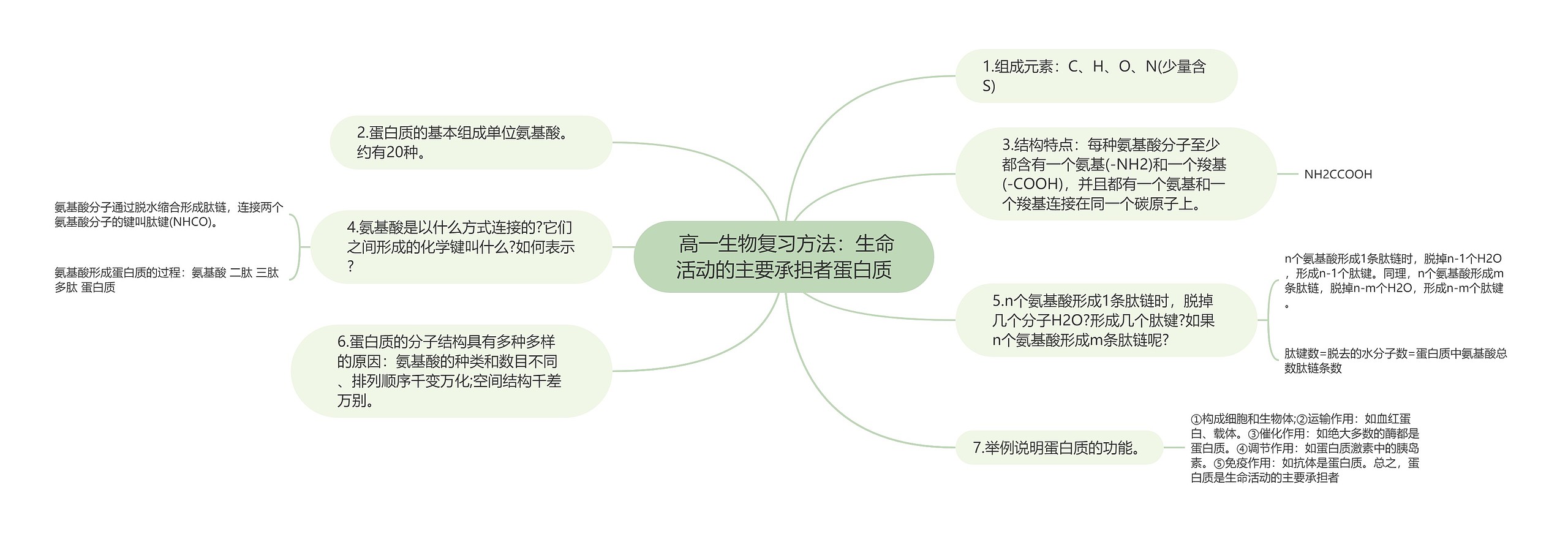  高一生物复习方法：生命活动的主要承担者蛋白质思维导图