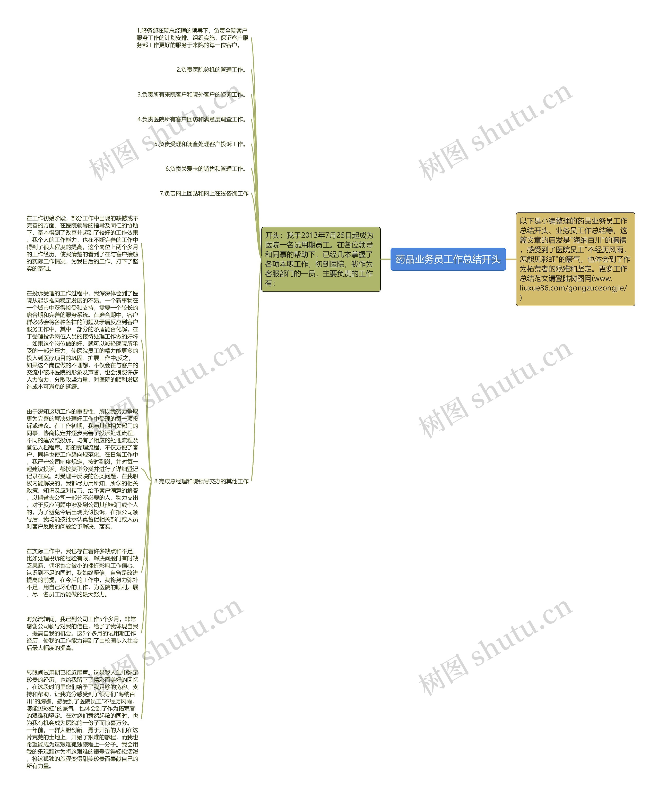 药品业务员工作总结开头思维导图