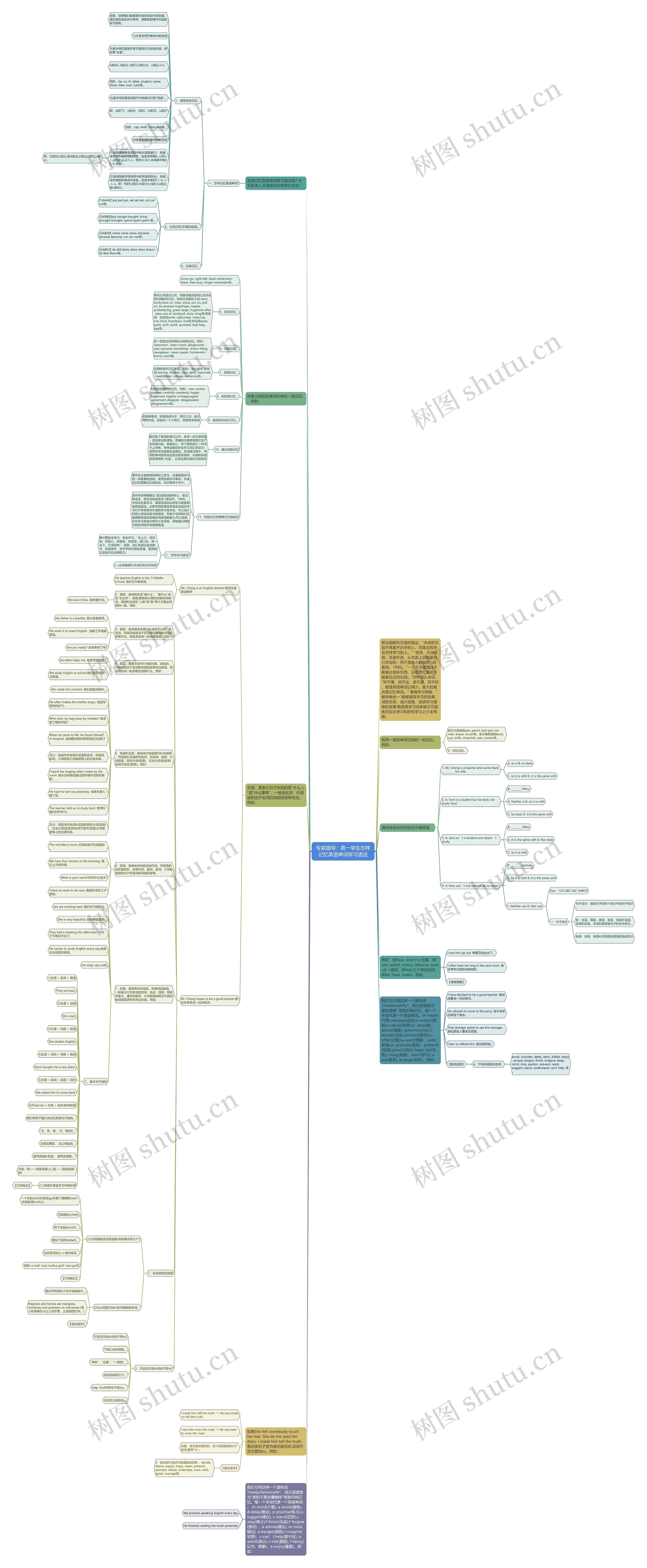 专家指导：高一学生怎样记忆英语单词学习语法思维导图