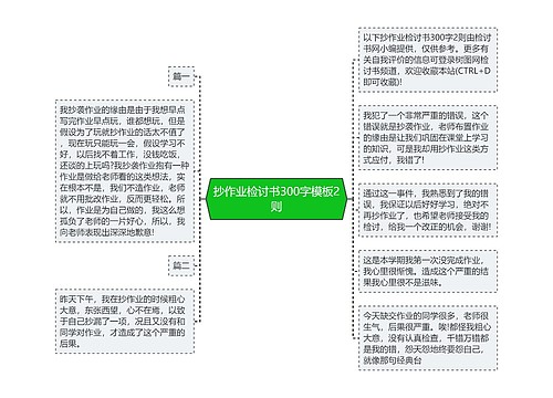 抄作业检讨书300字模板2则