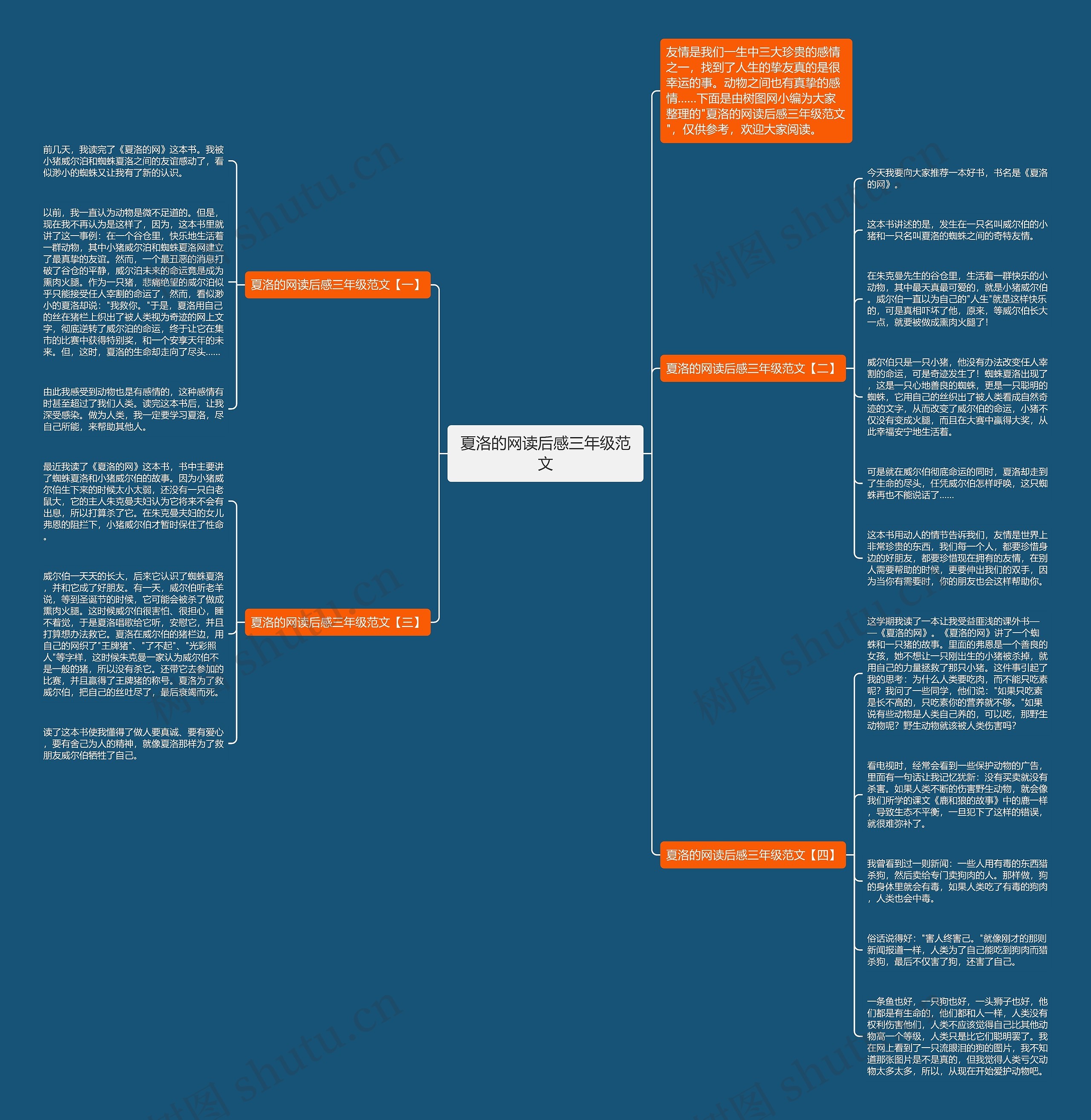 夏洛的网读后感三年级范文思维导图