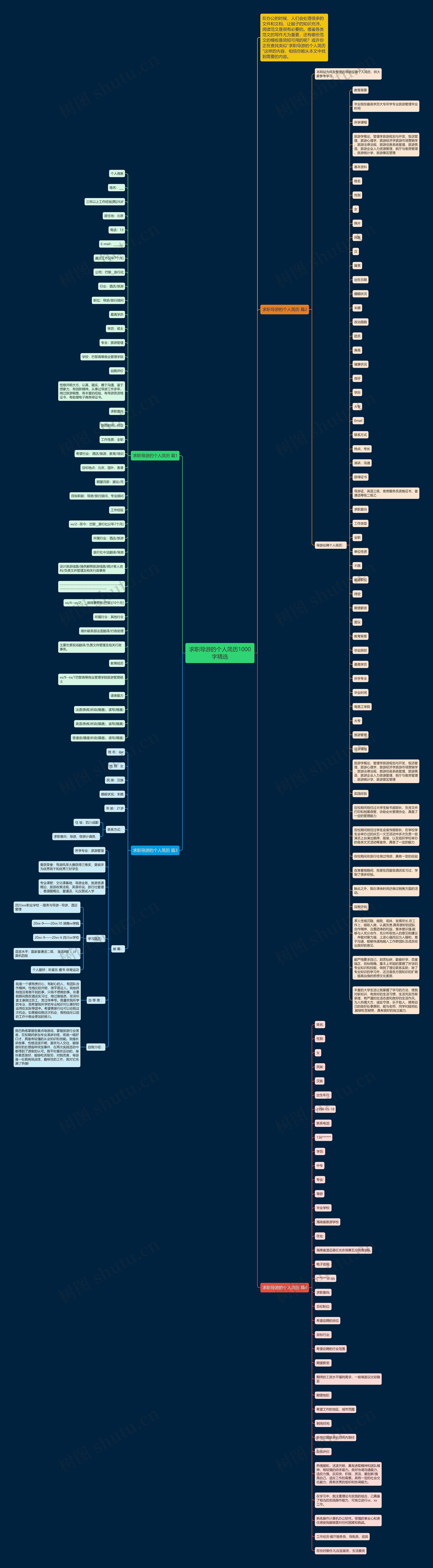 求职导游的个人简历1000字精选思维导图