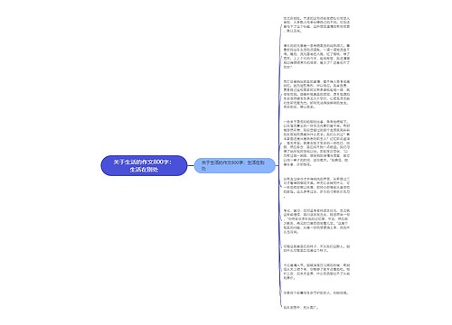 关于生活的作文800字：生活在别处